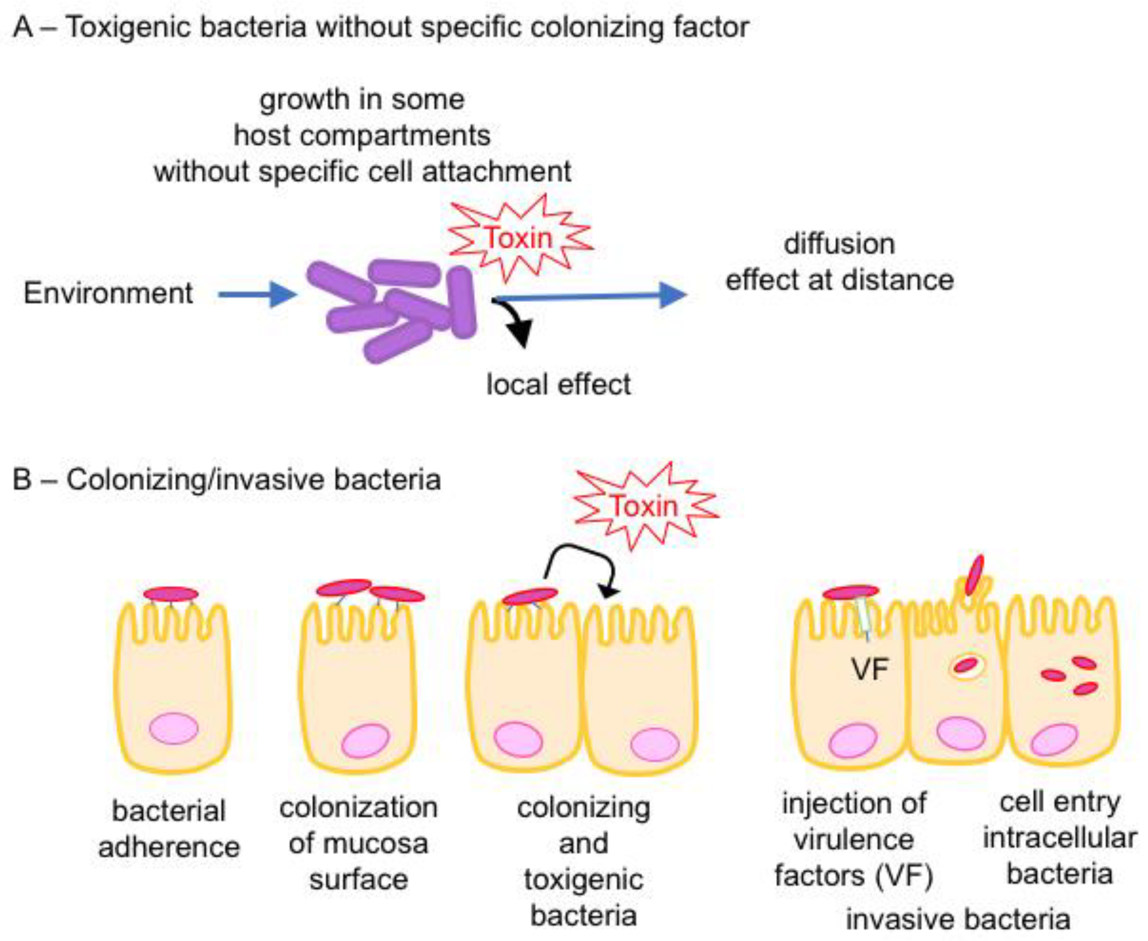 Toxins 16 00182 g001 Toxins 16 00182 g001