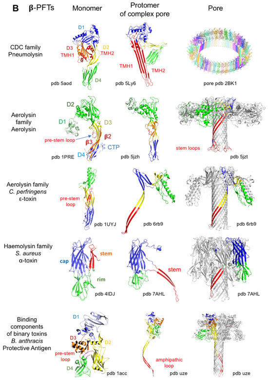 Toxins 16 00182 g007b