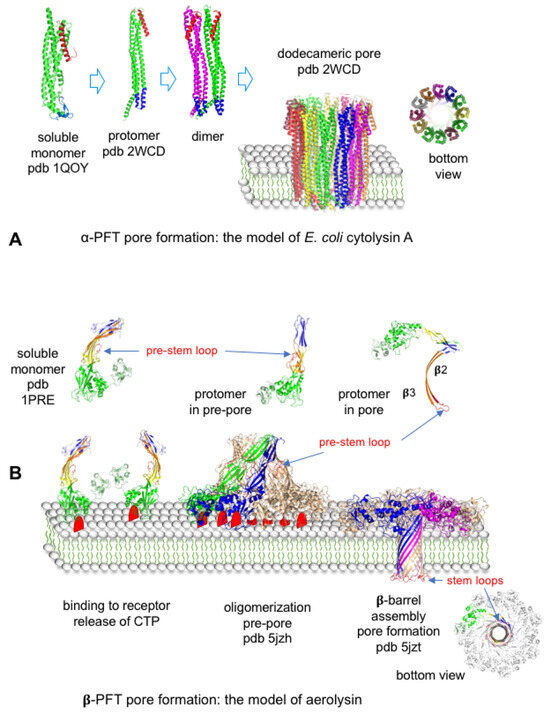 Toxins 16 00182 g008