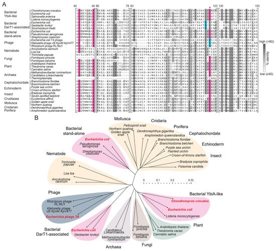 Toxins 16 00208 g001