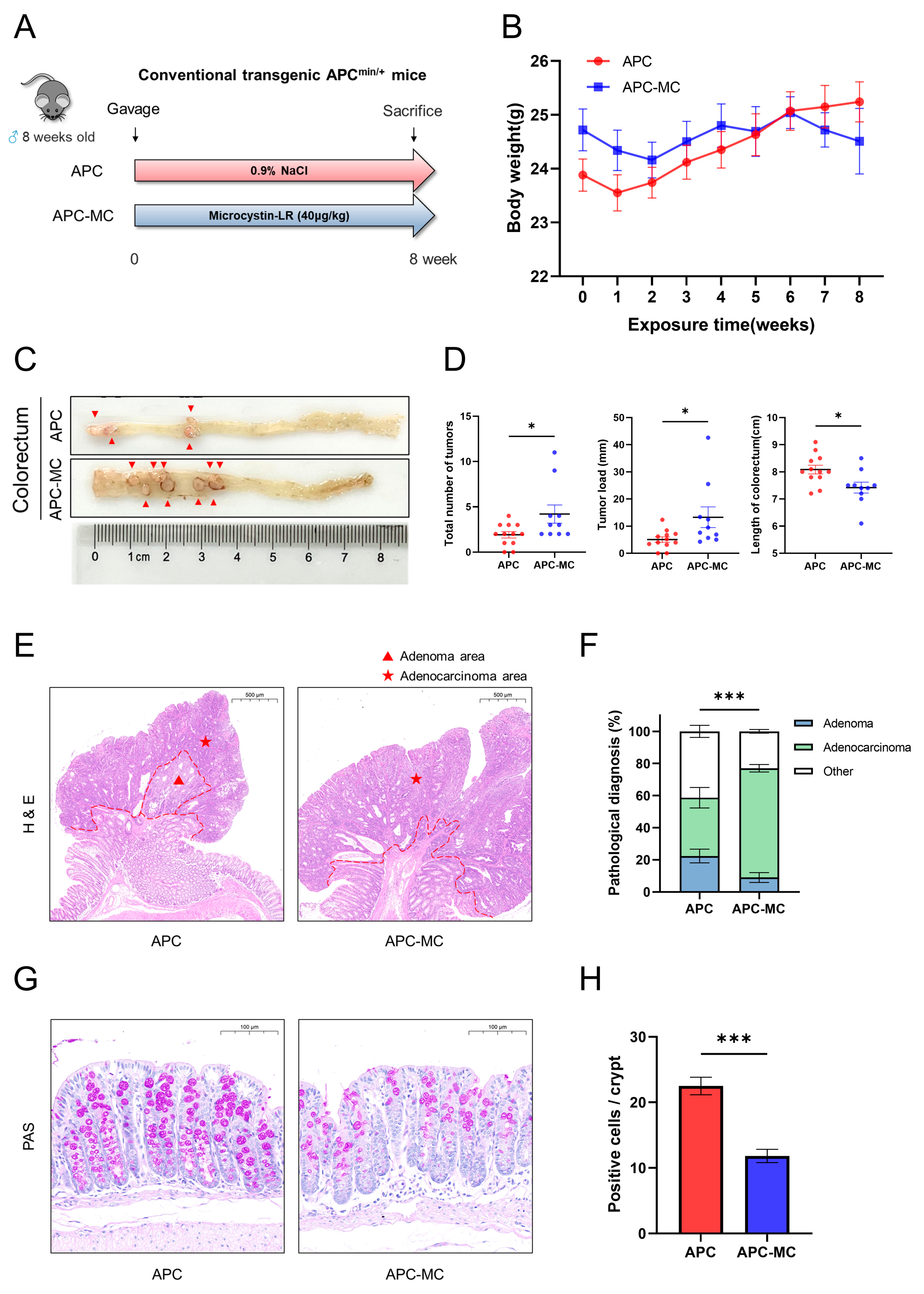 Toxins 16 00212 g001