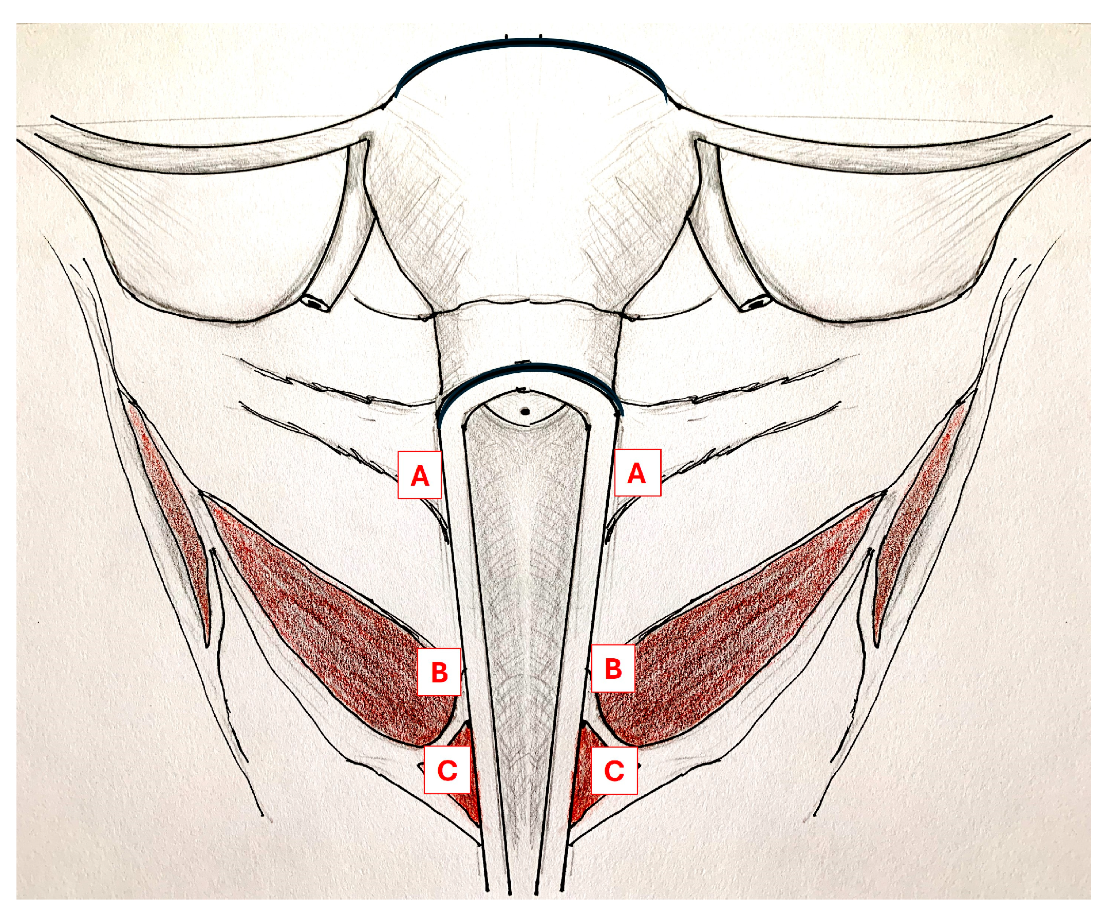 Toxins 16 00216 g002