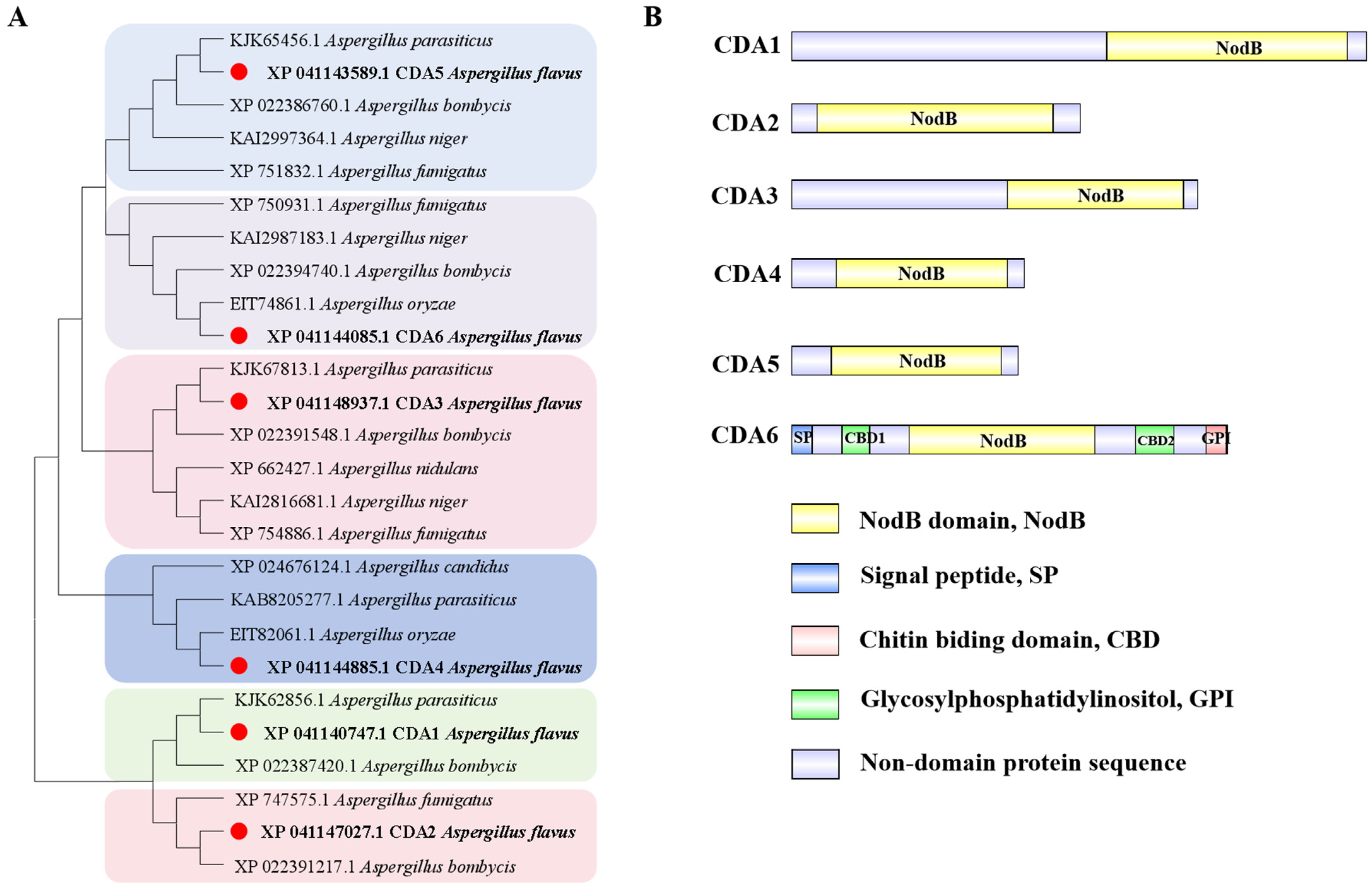 Toxins 16 00217 g001 Toxins 16 00217 g001