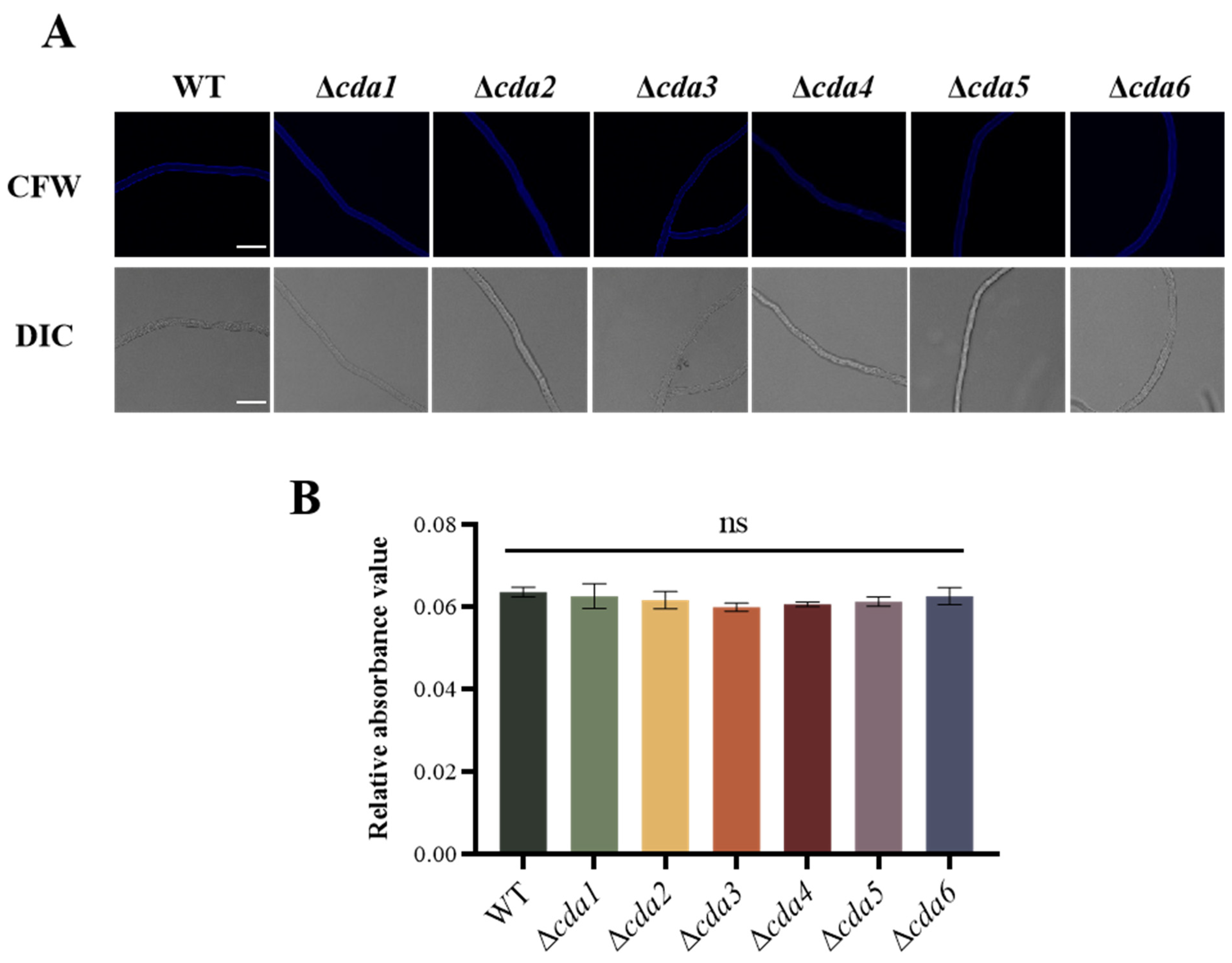 Toxins 16 00217 g002 Toxins 16 00217 g002