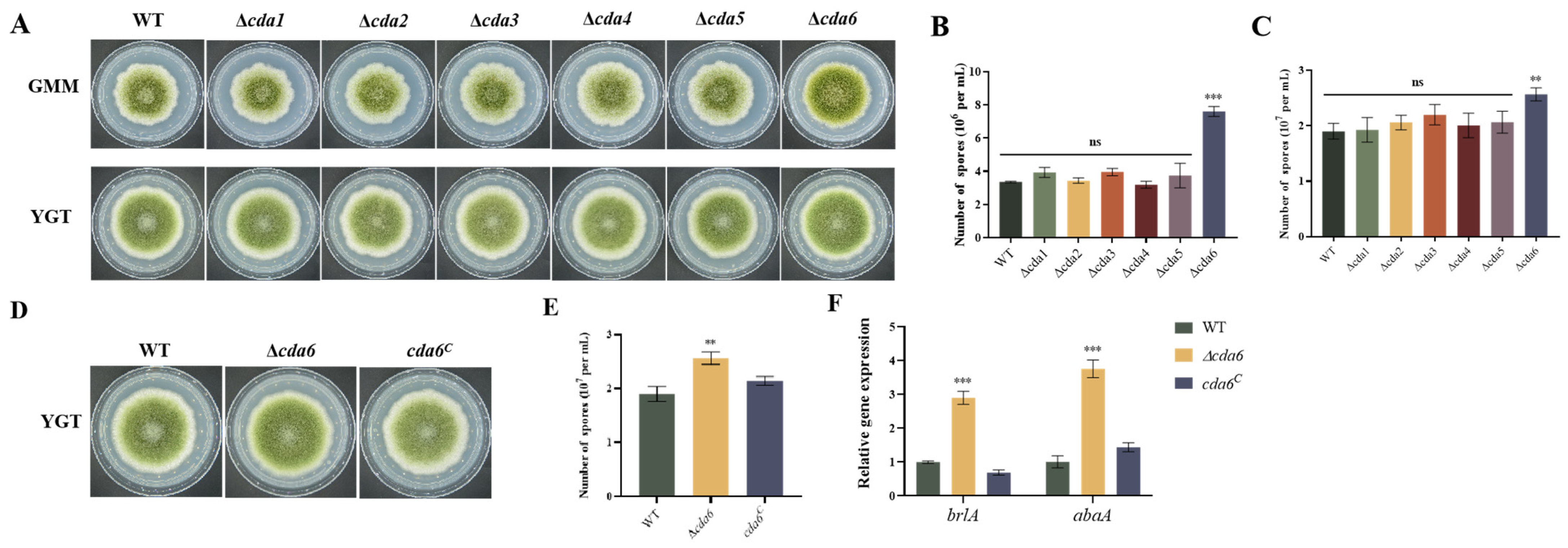 Toxins 16 00217 g003 Toxins 16 00217 g003