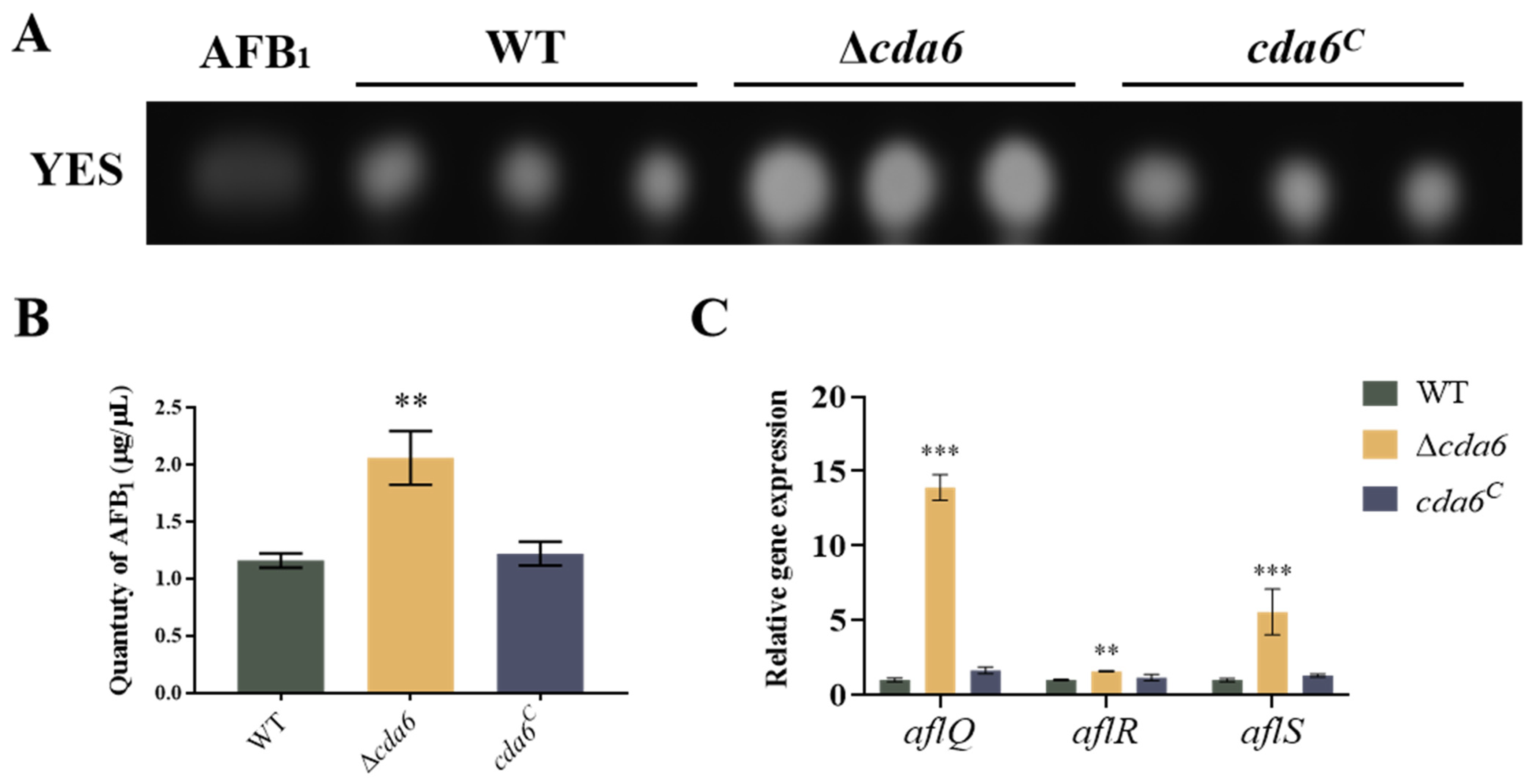 Toxins 16 00217 g006 Toxins 16 00217 g006