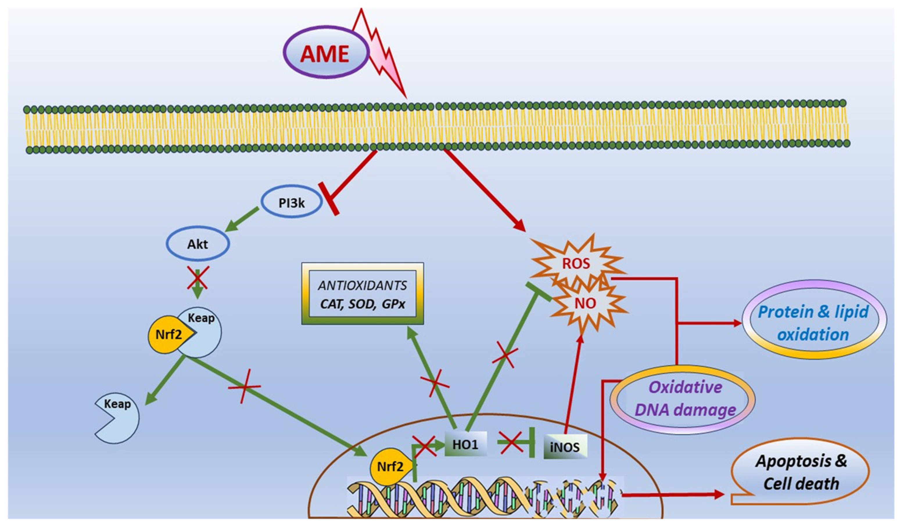Toxins 16 00223 g008