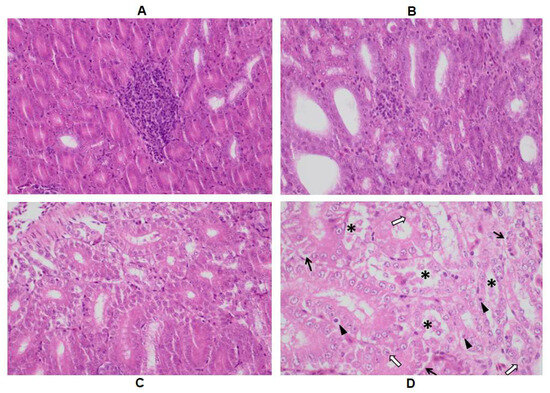 Toxins 16 00226 g0a1