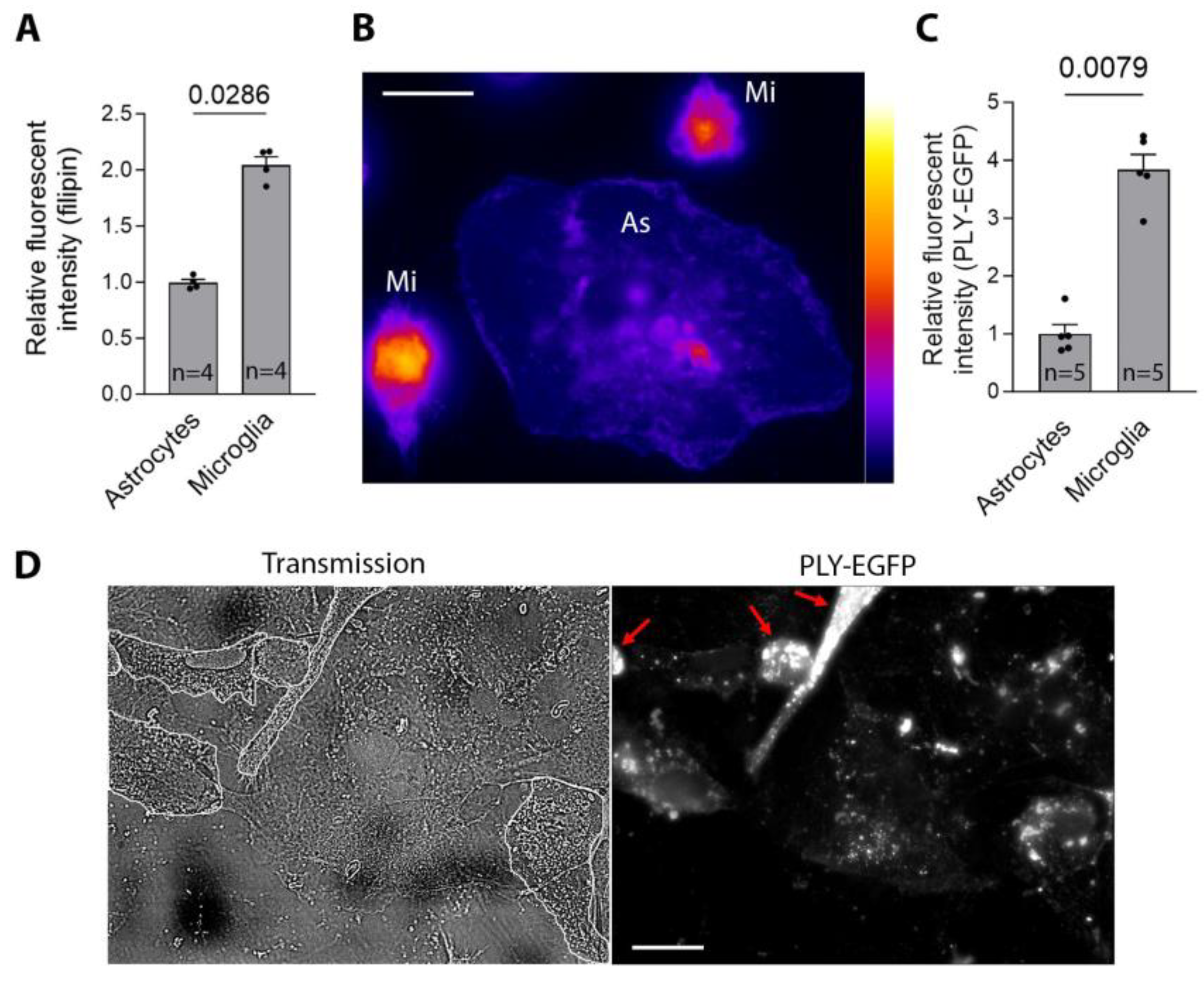 Toxins 16 00232 g005 Toxins 16 00232 g005