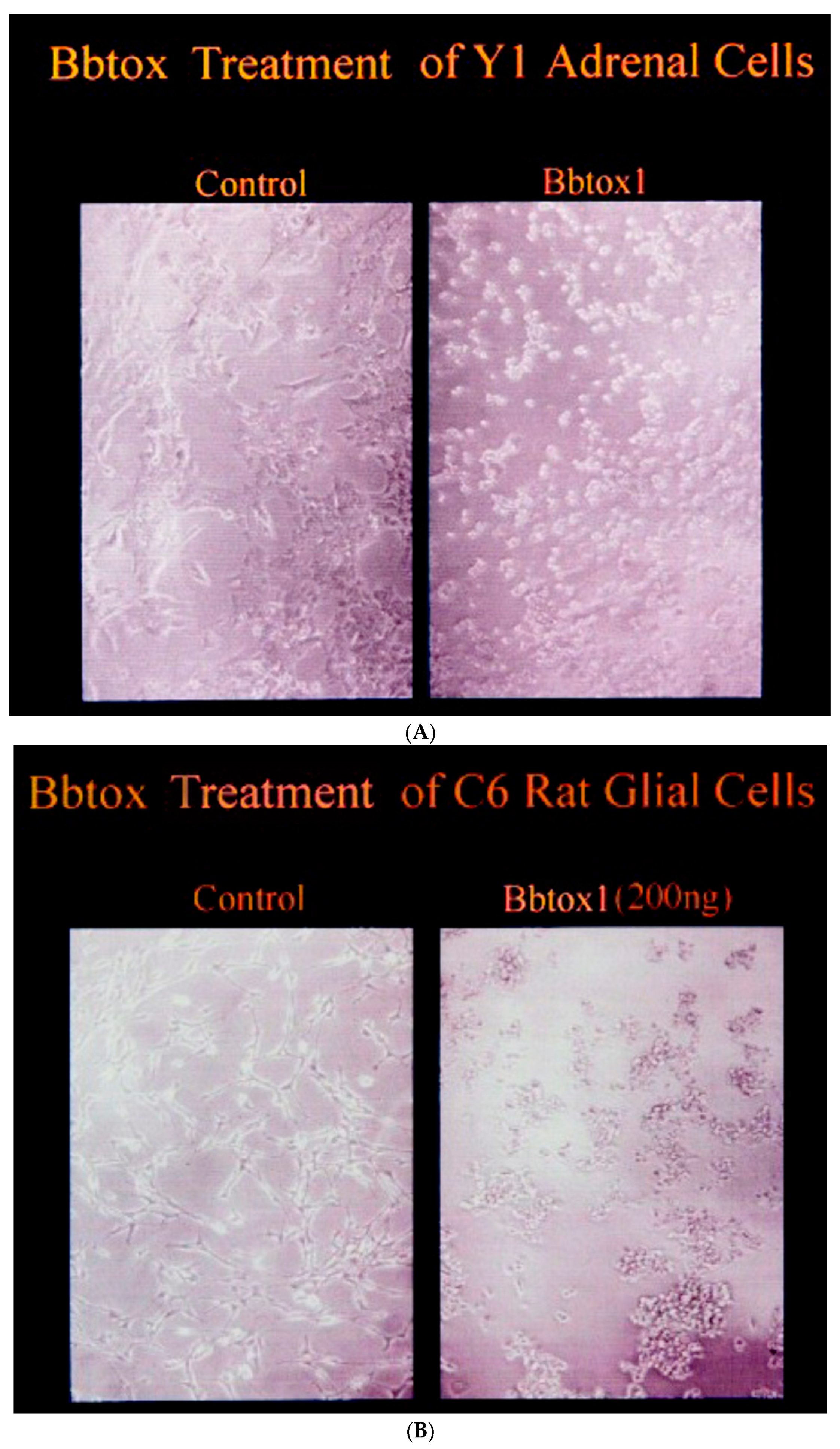 Toxins 16 00233 g006 Toxins 16 00233 g006