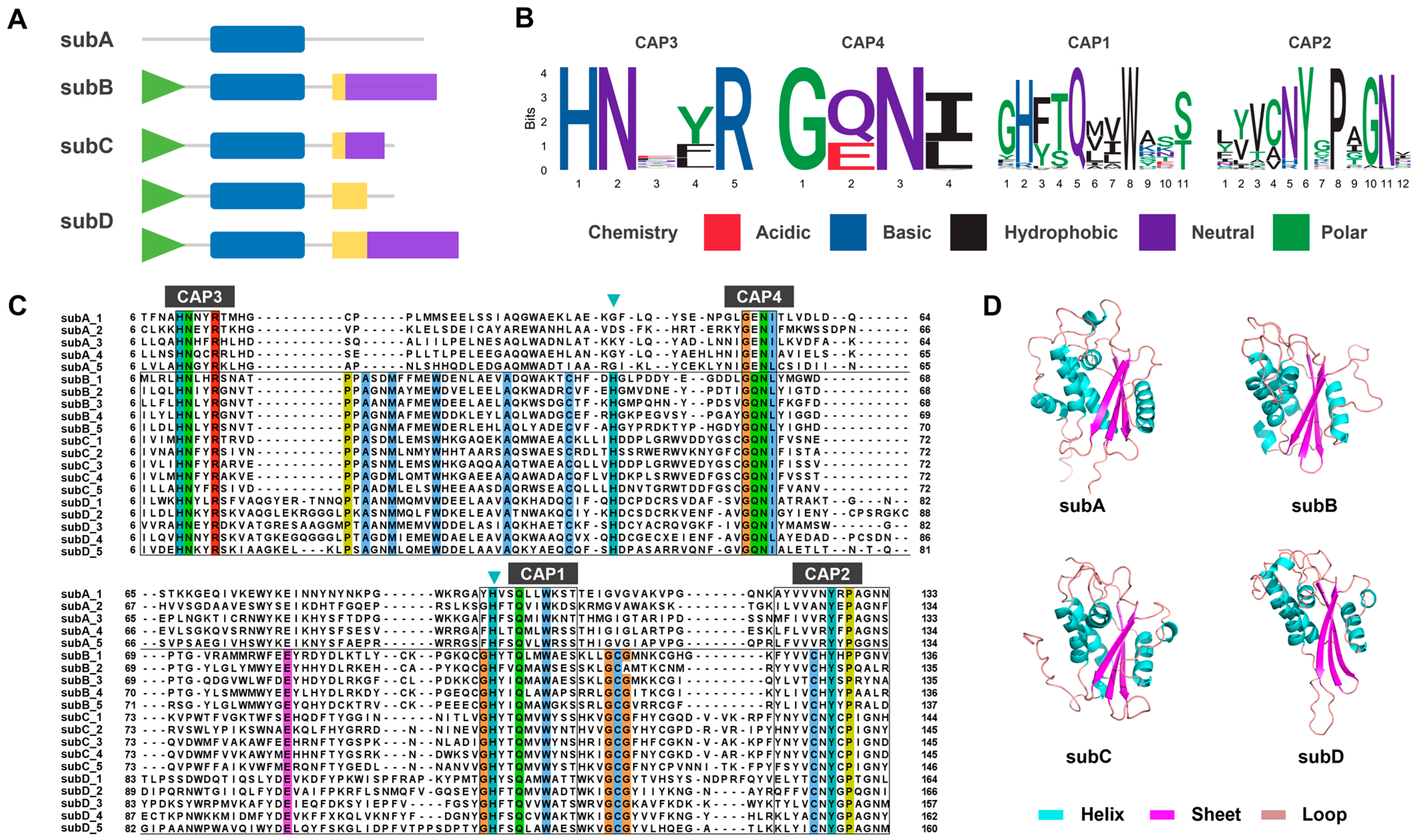Toxins 16 00240 g004 Toxins 16 00240 g004