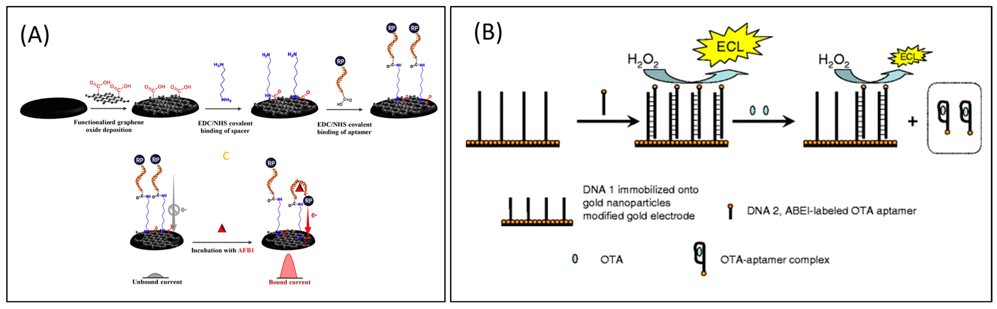 Toxins 16 00244 g005