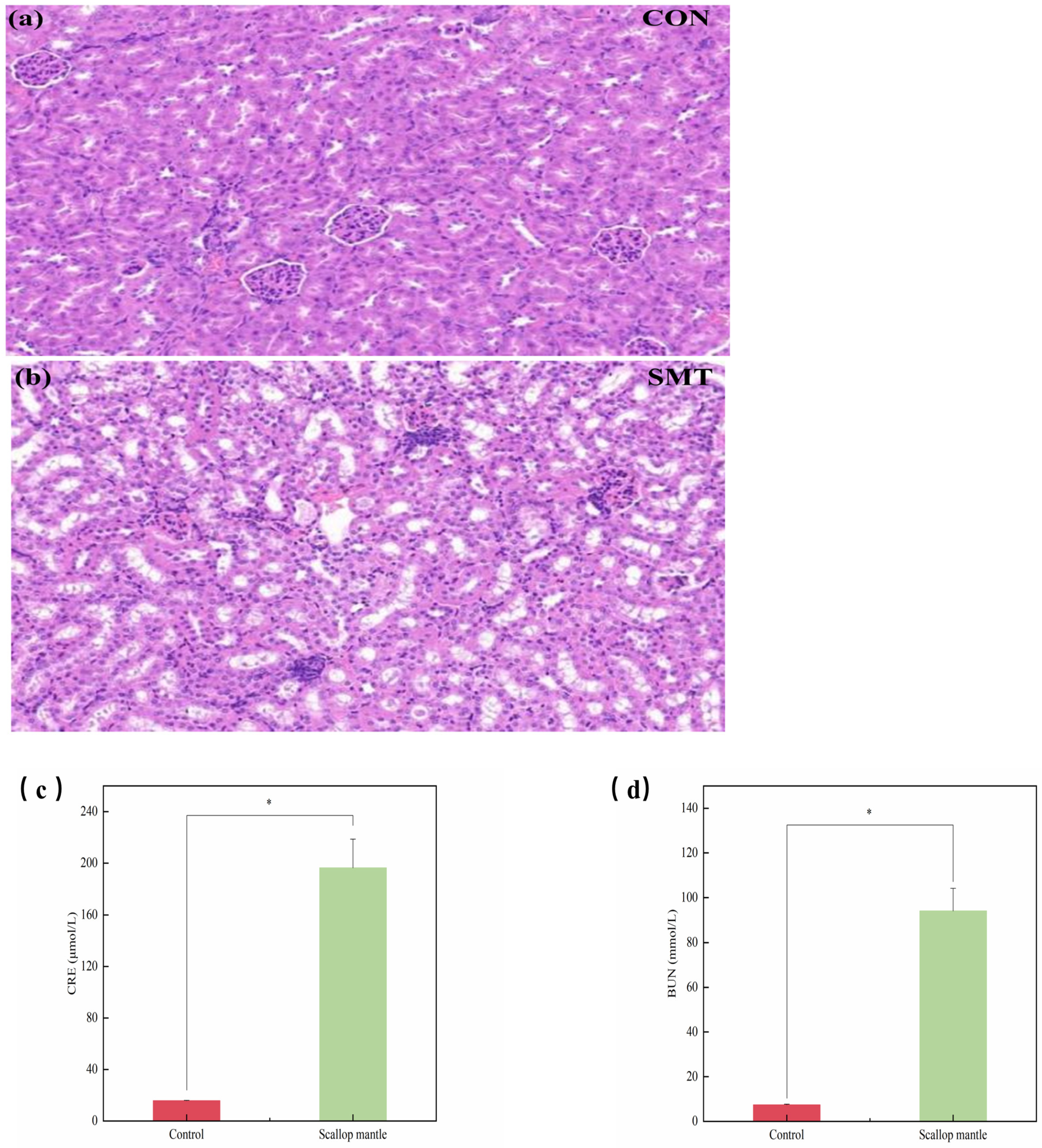 Toxins 16 00247 g003