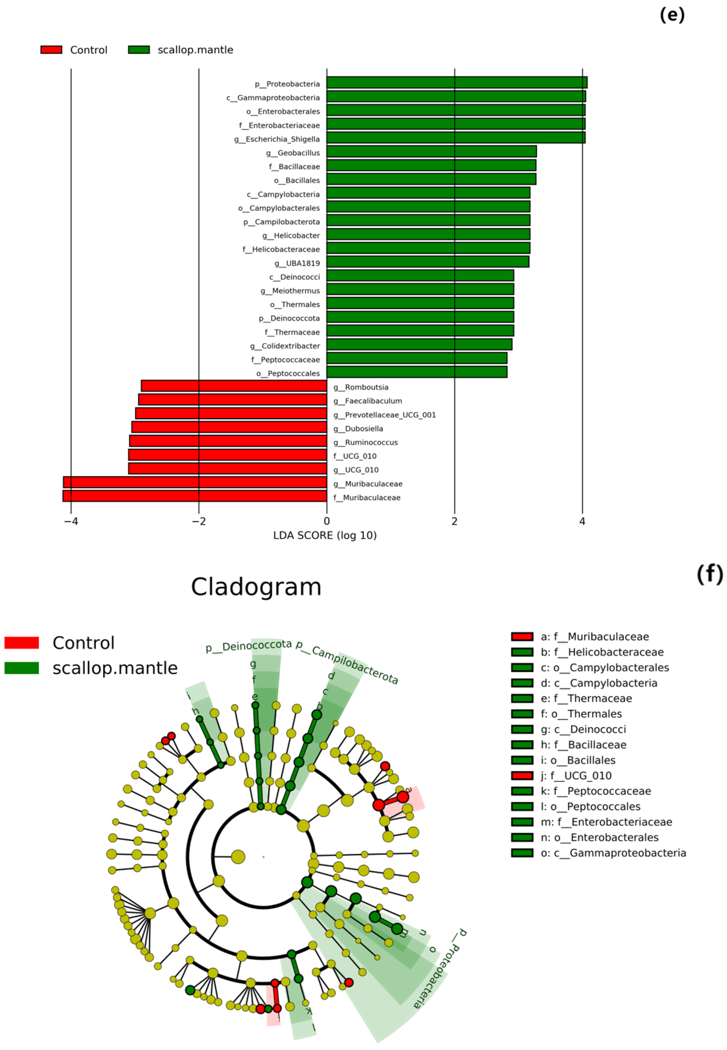 Toxins 16 00247 g006c
