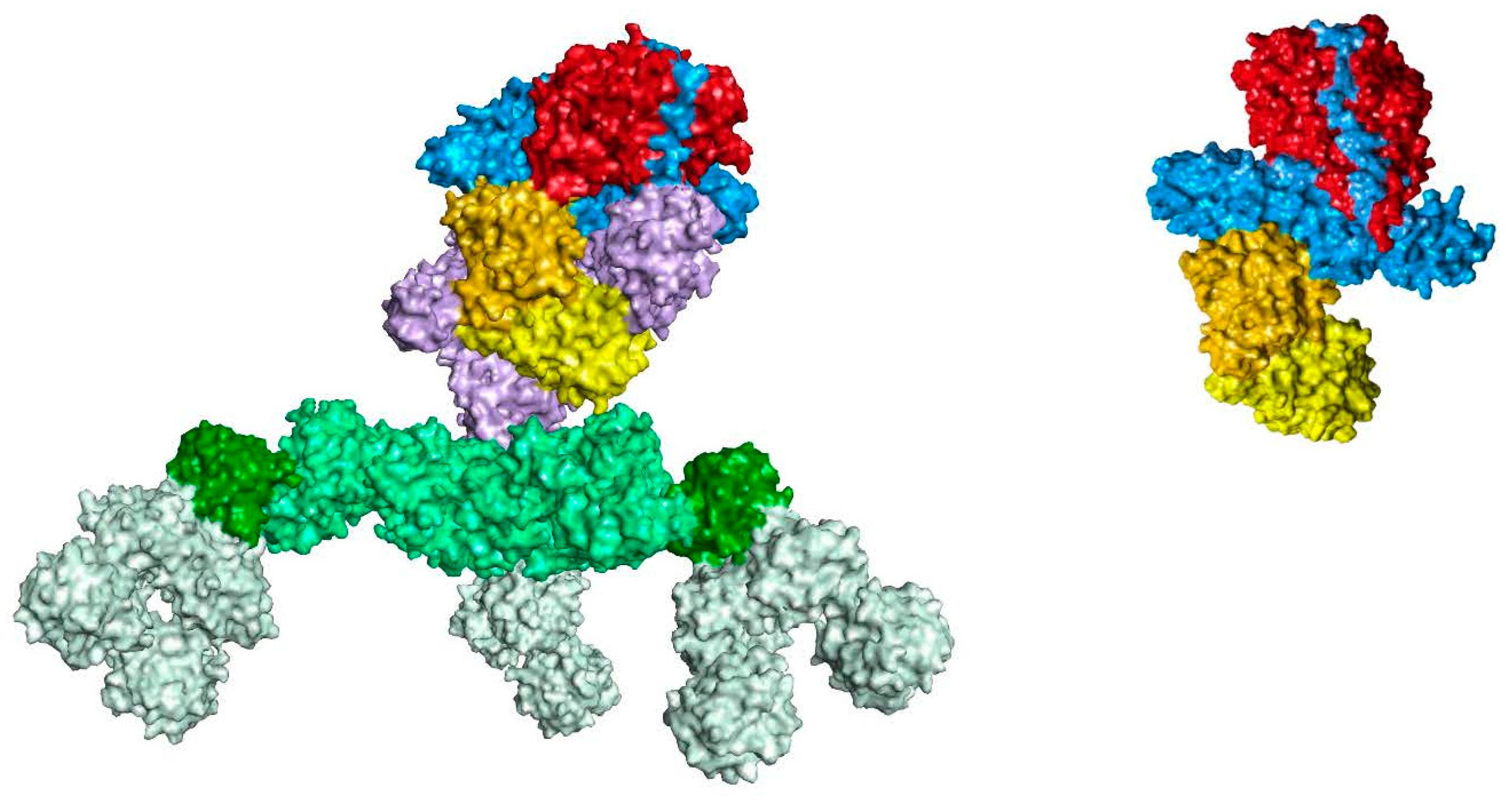 Toxins 16 00266 g001