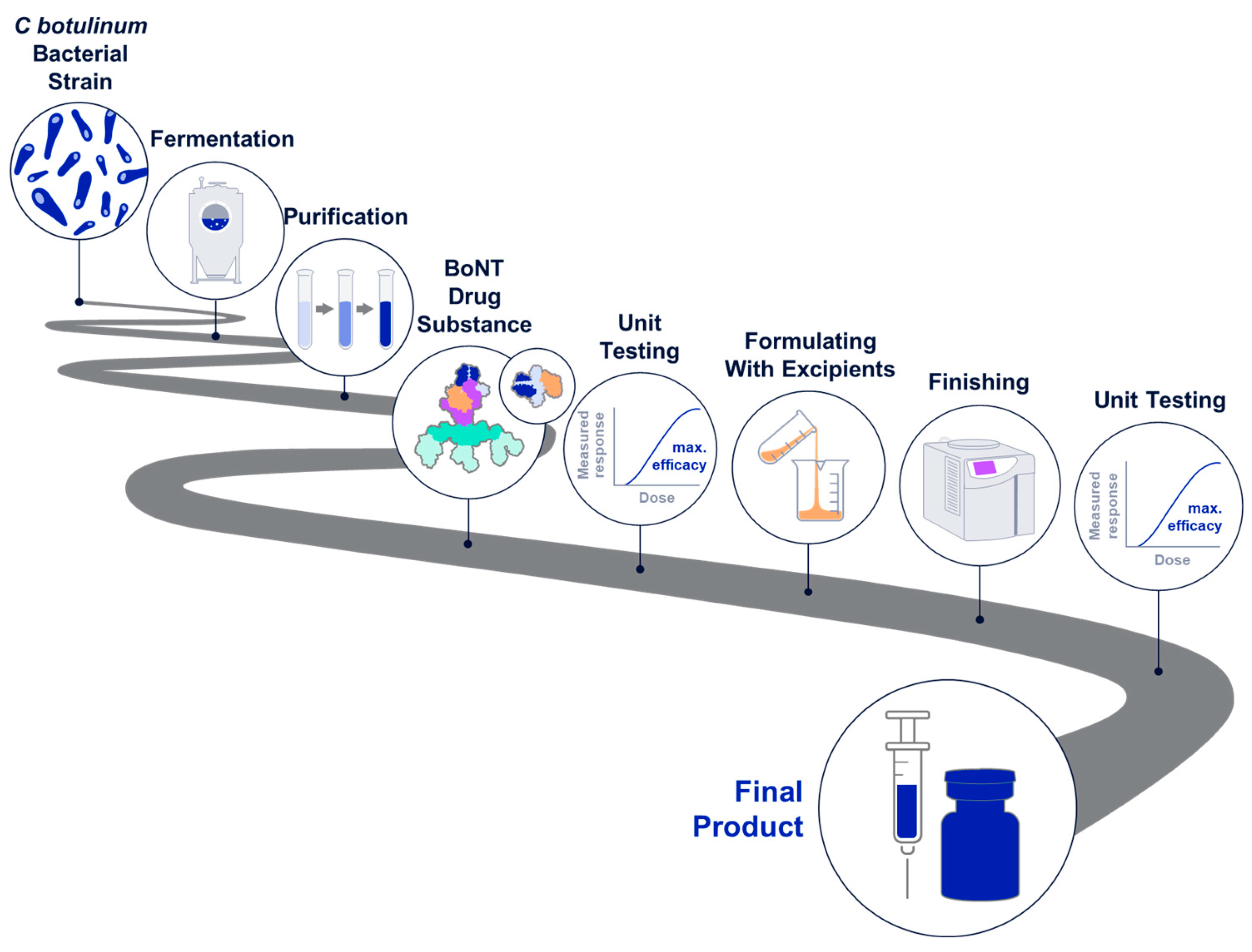 Toxins 16 00266 g004