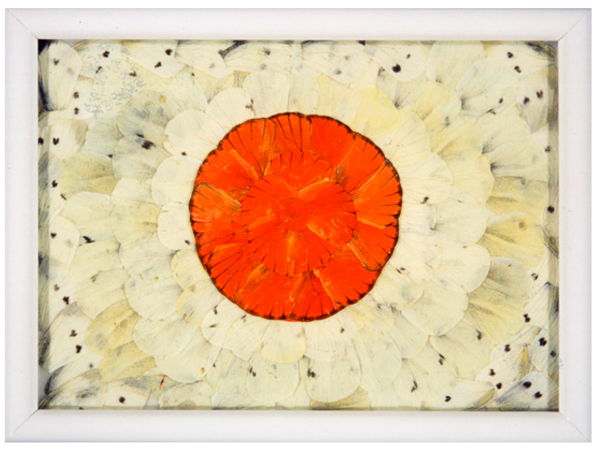 Toxins 16 00270 g001