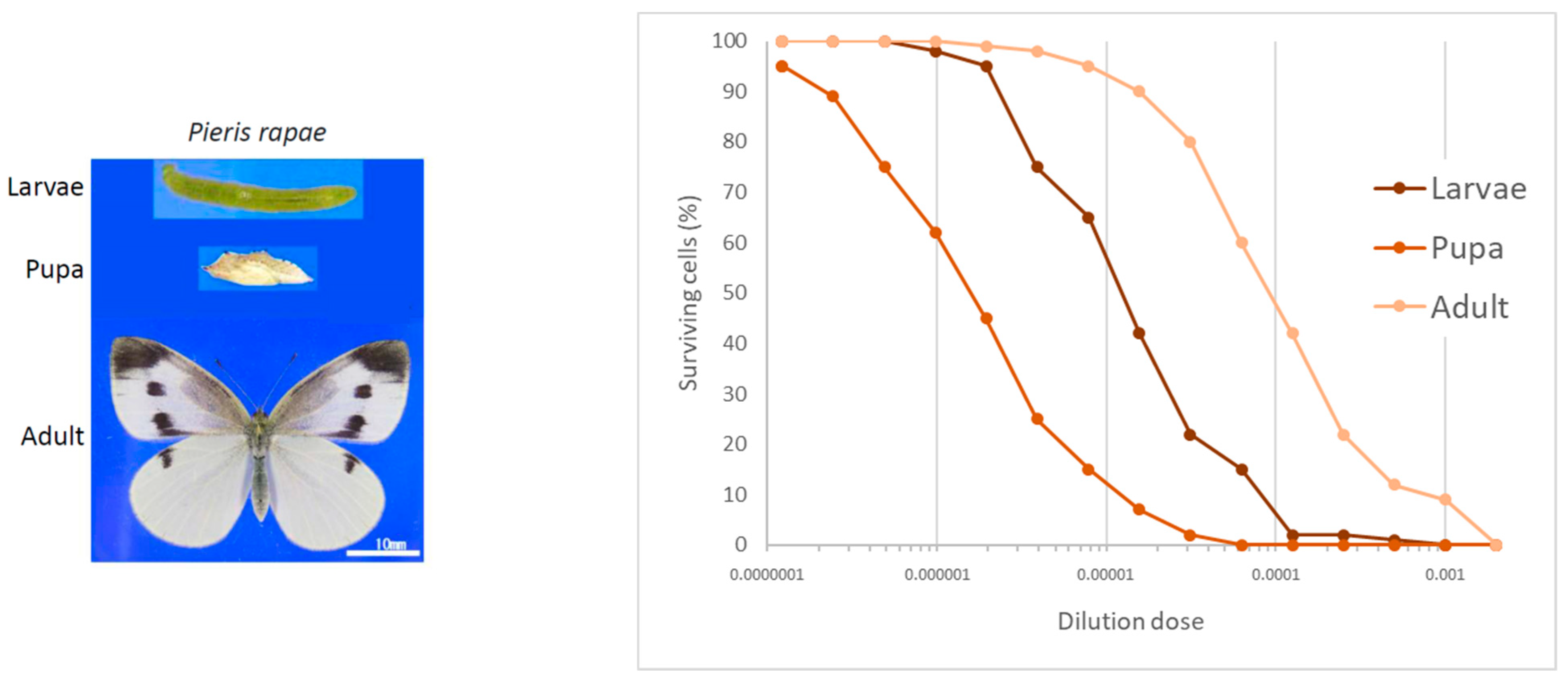 Toxins 16 00270 g002