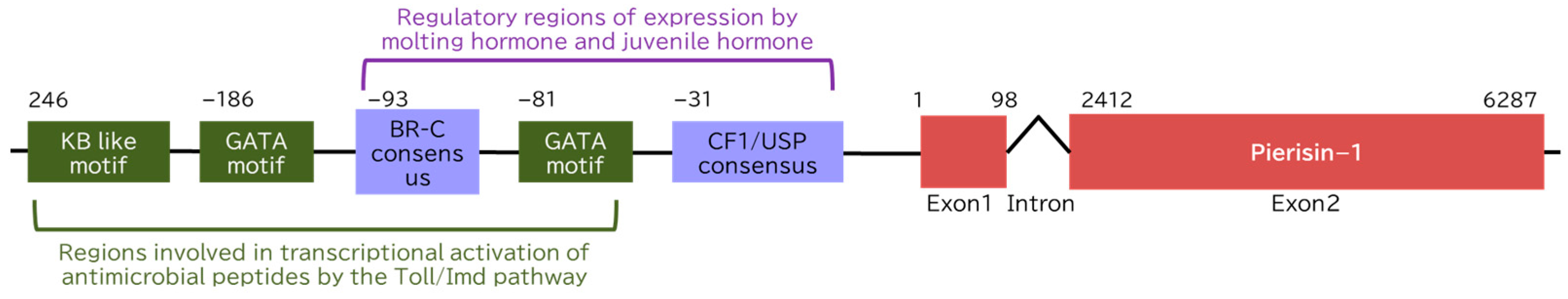 Toxins 16 00270 g004