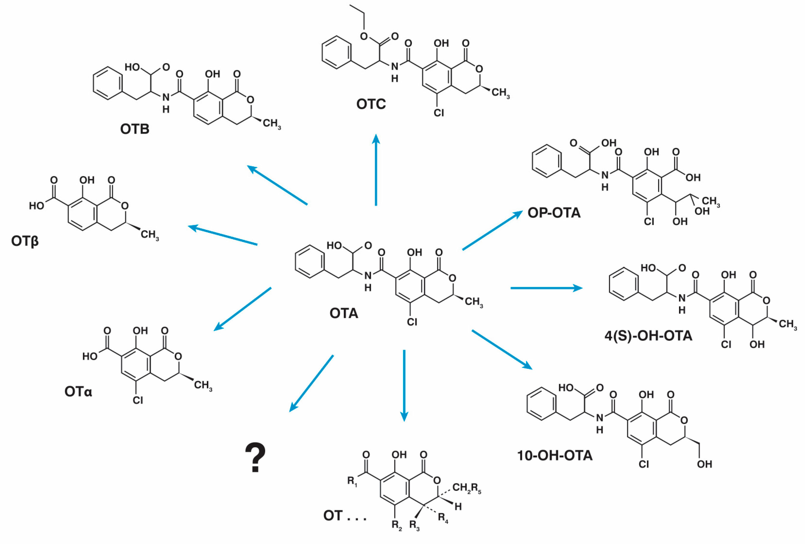 Toxins 16 00277 g002