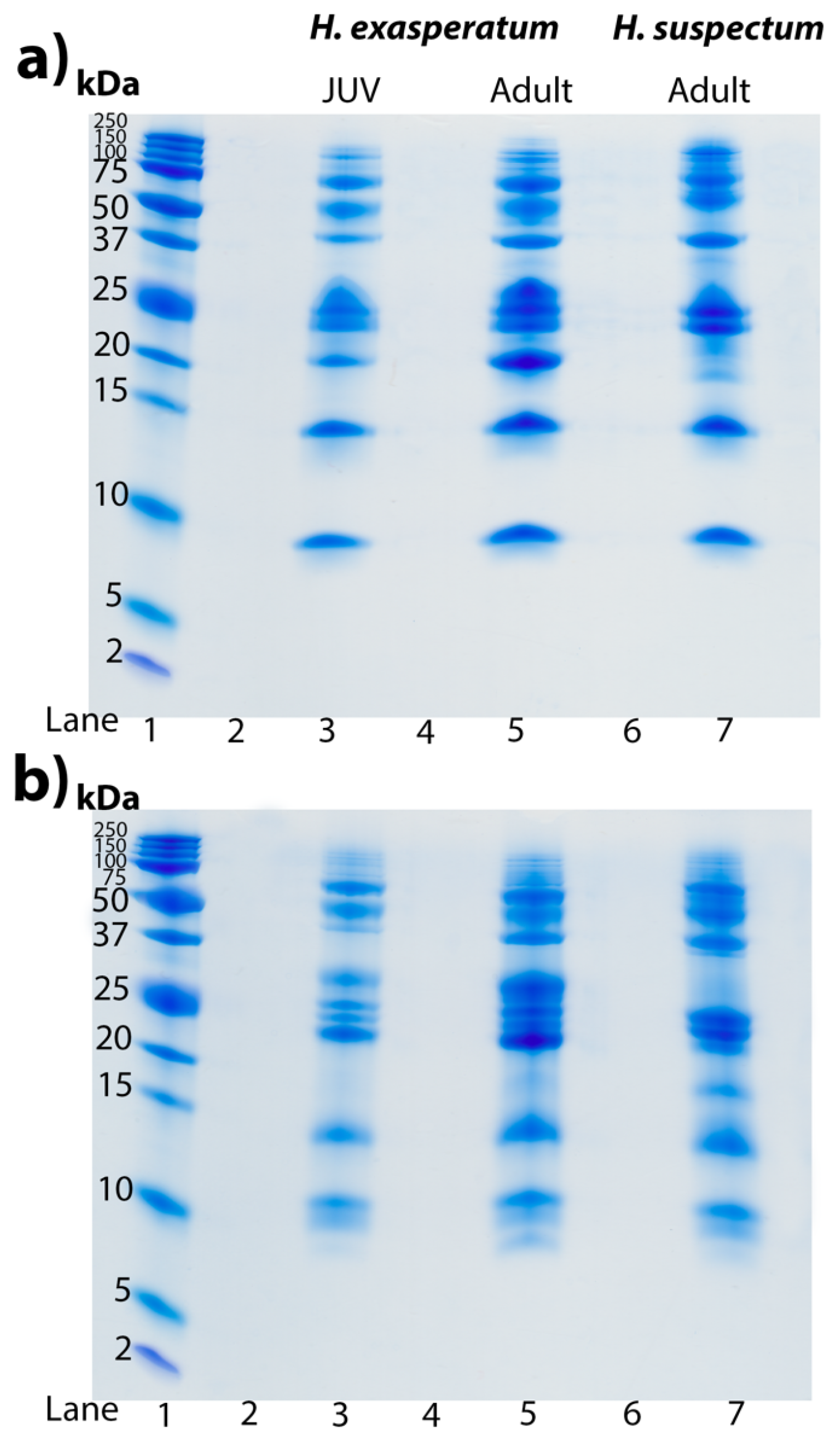 Toxins 16 00283 g004 Toxins 16 00283 g004