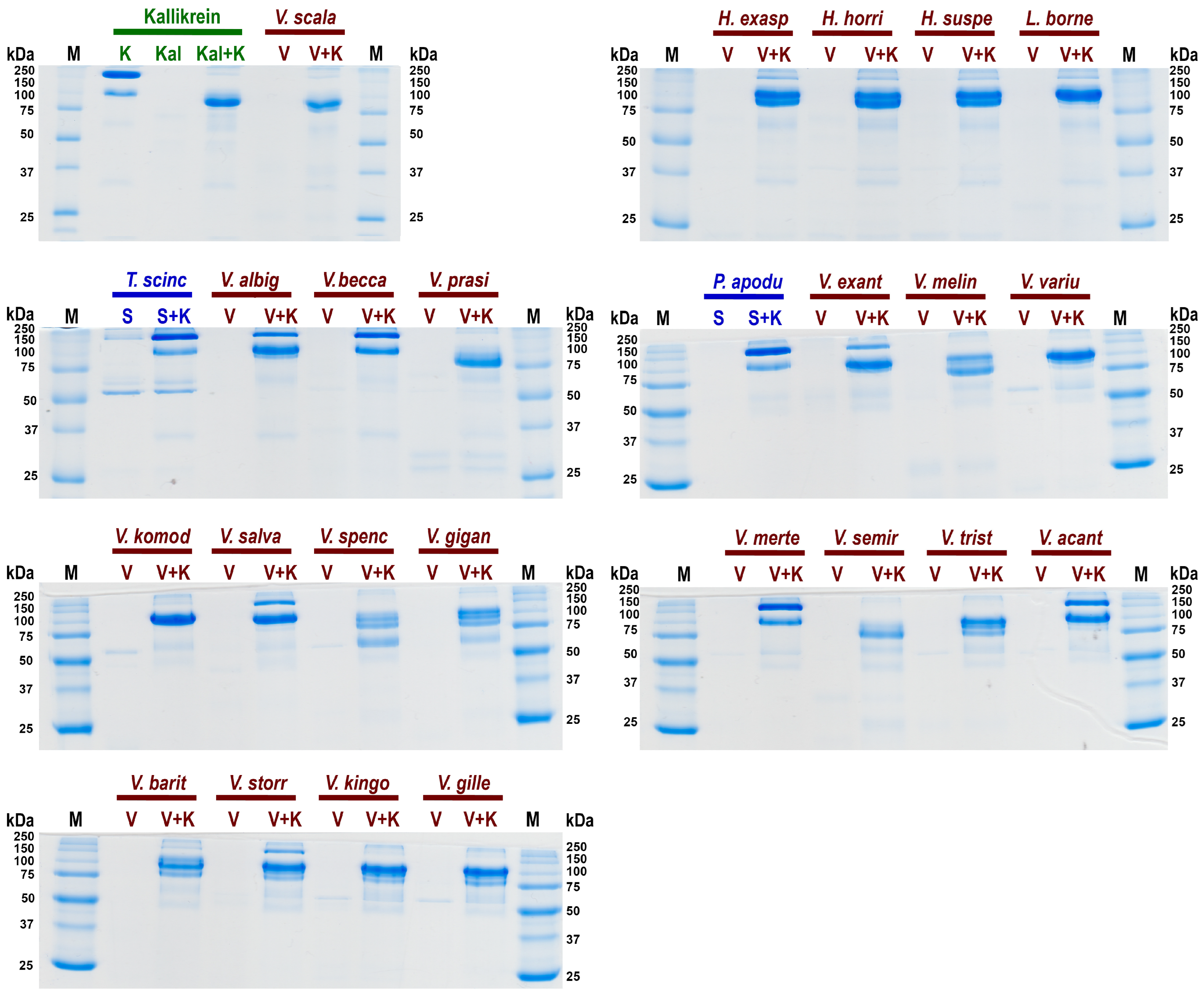Toxins 16 00283 g005 Toxins 16 00283 g005
