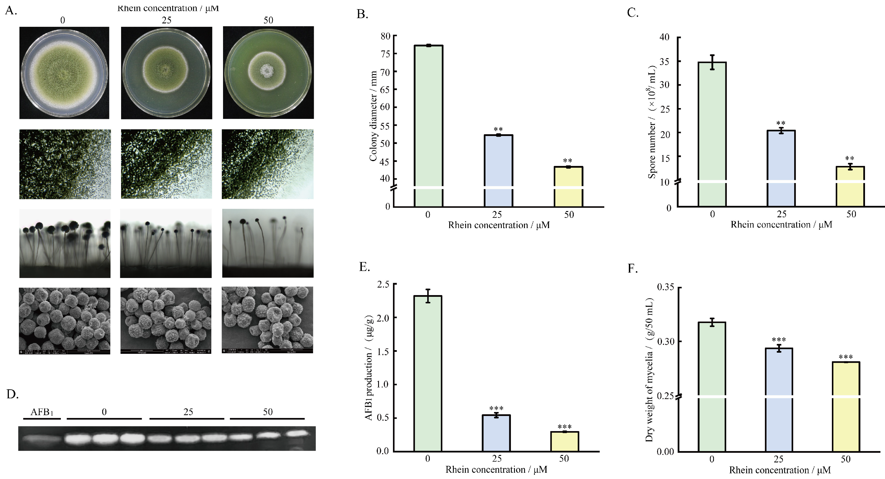 Toxins 16 00285 g001