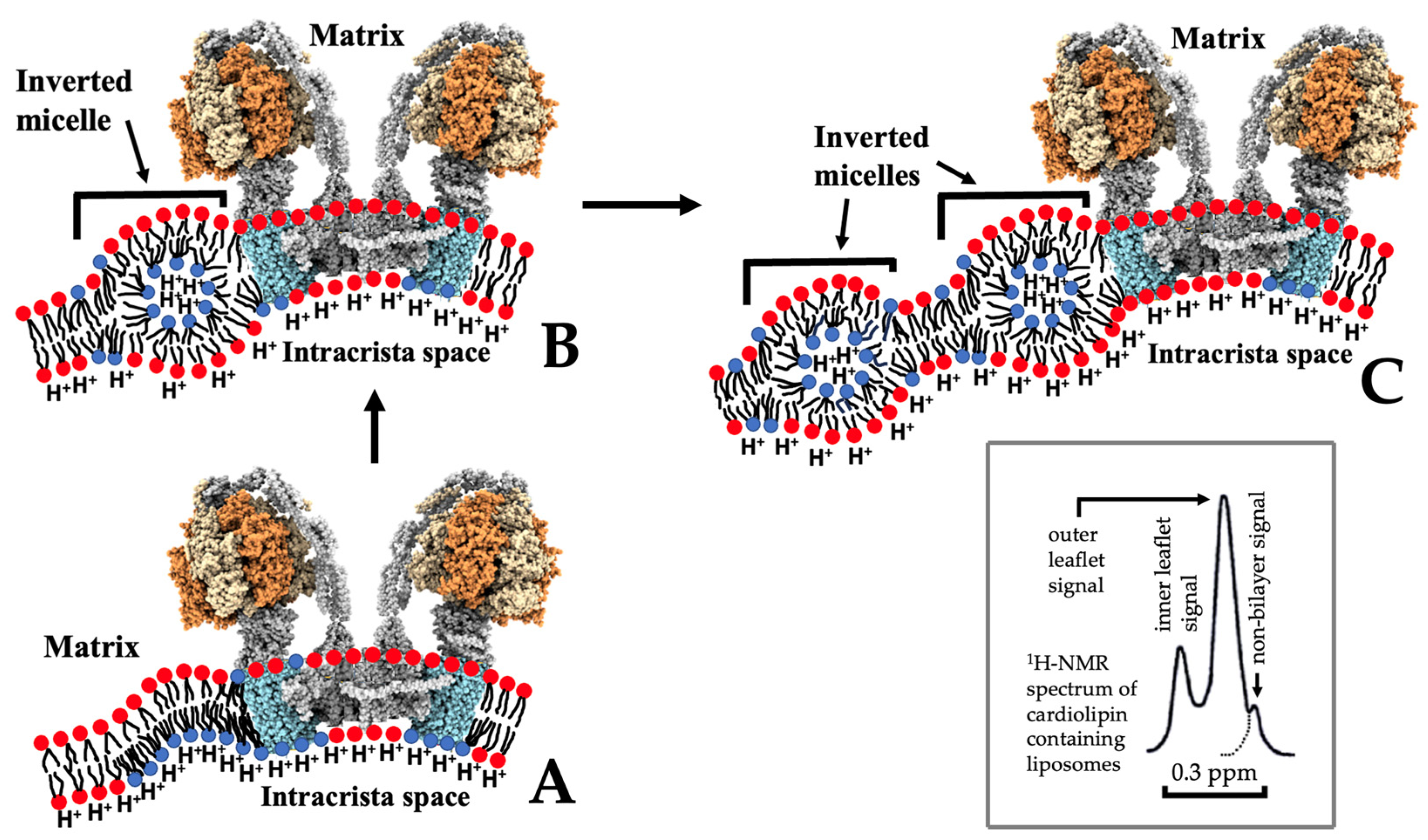 Toxins 16 00287 g008 Toxins 16 00287 g008