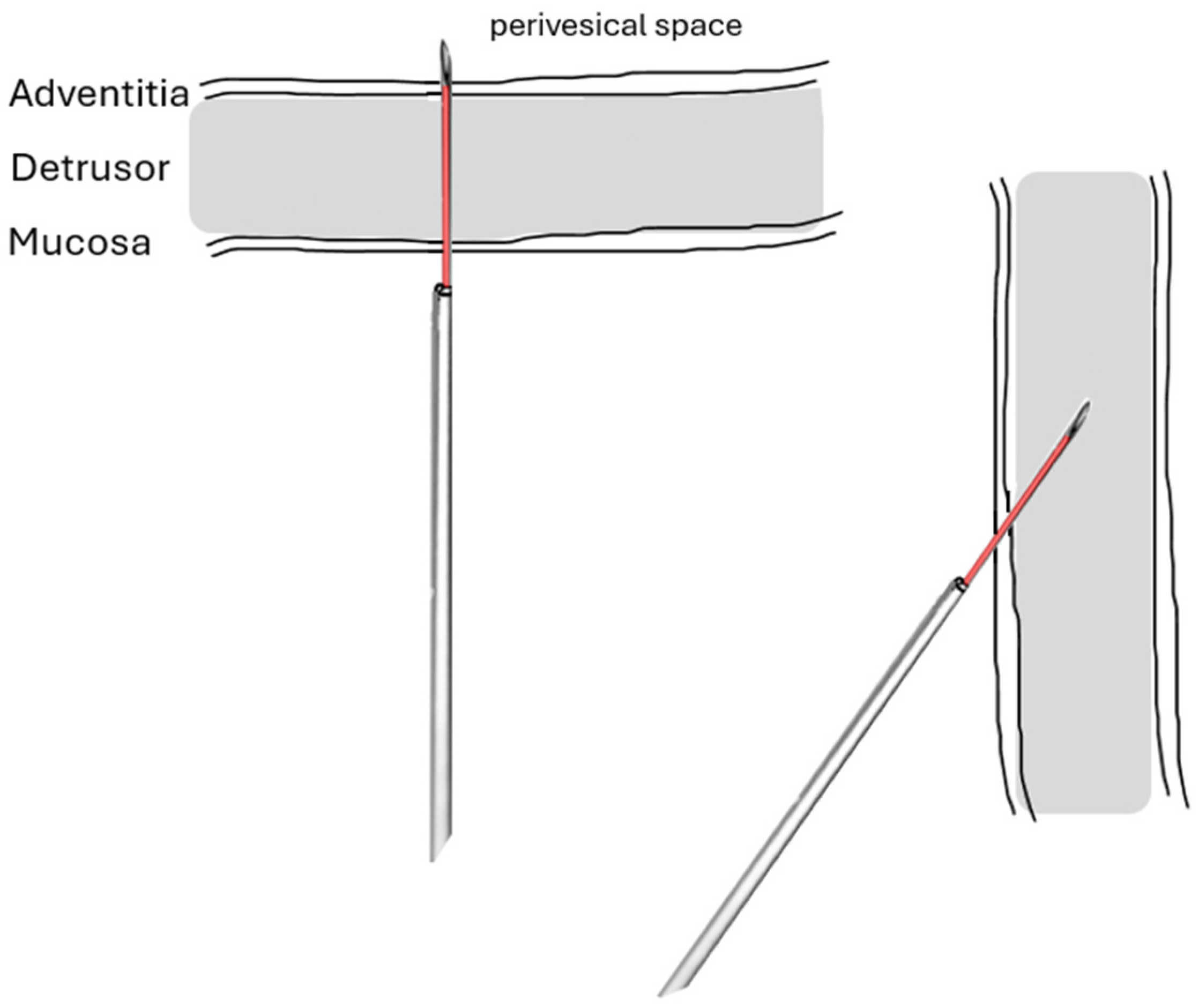 Toxins 16 00299 g004