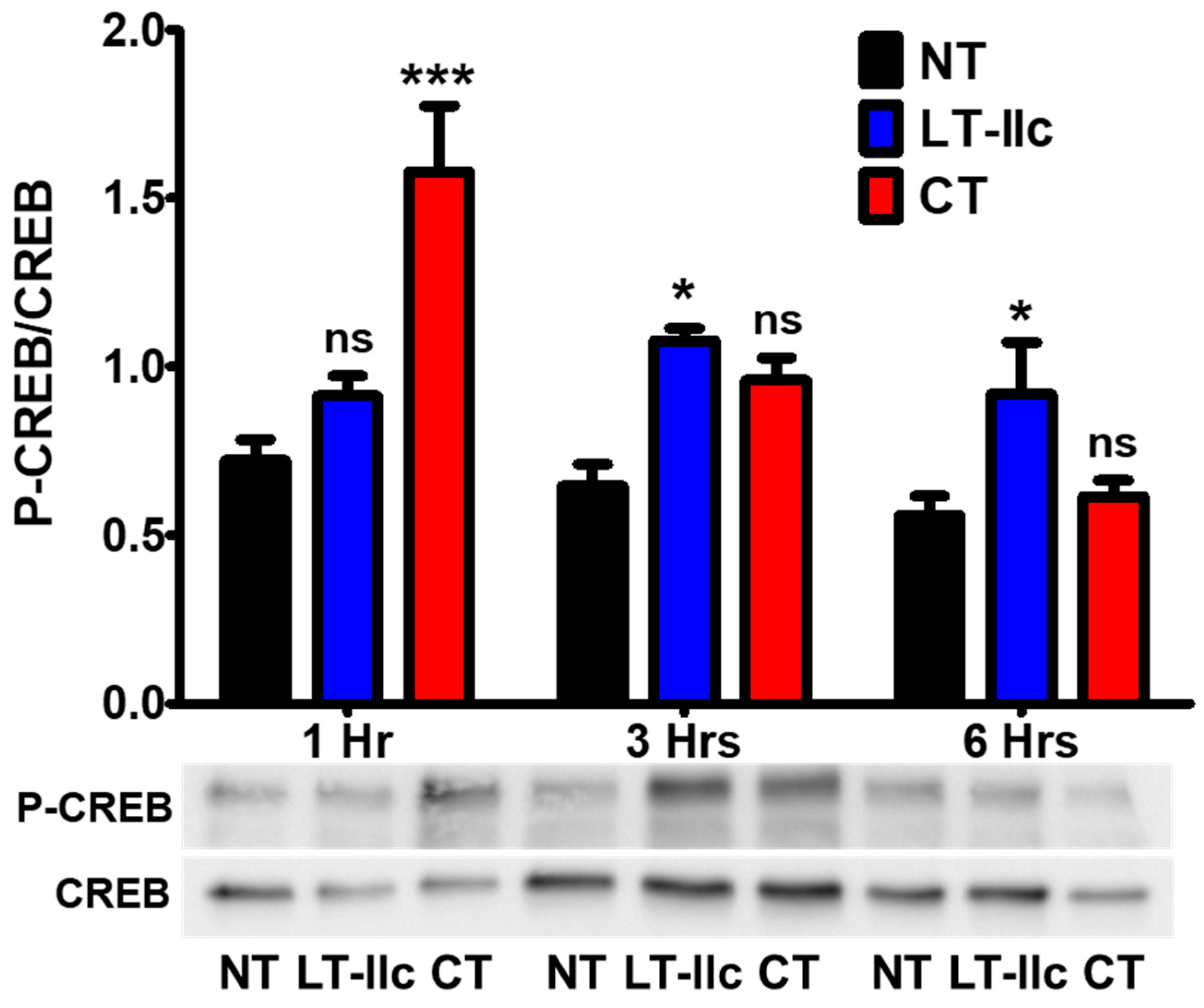 Toxins 16 00311 g003 Toxins 16 00311 g003