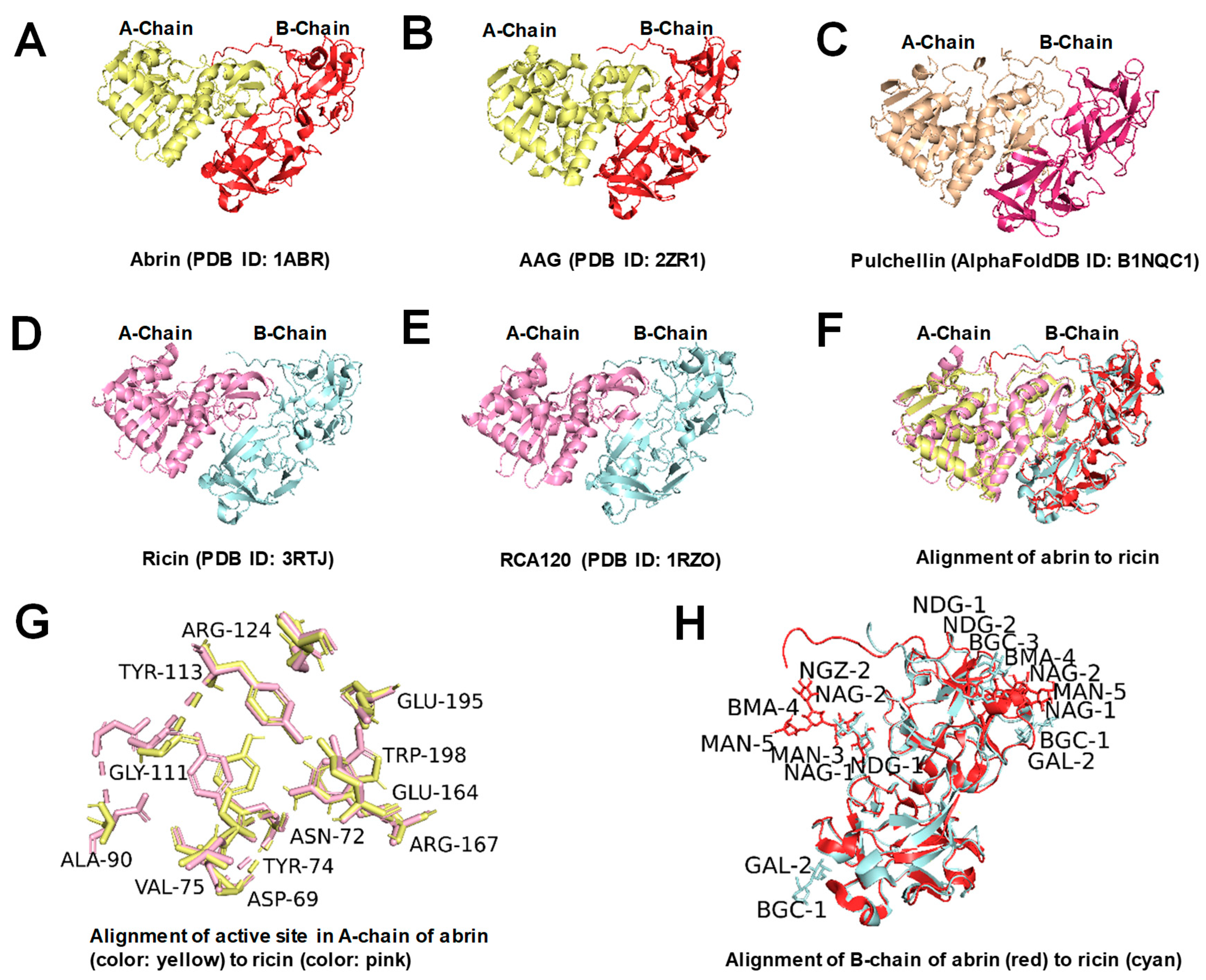 Toxins 16 00312 g001 Toxins 16 00312 g001