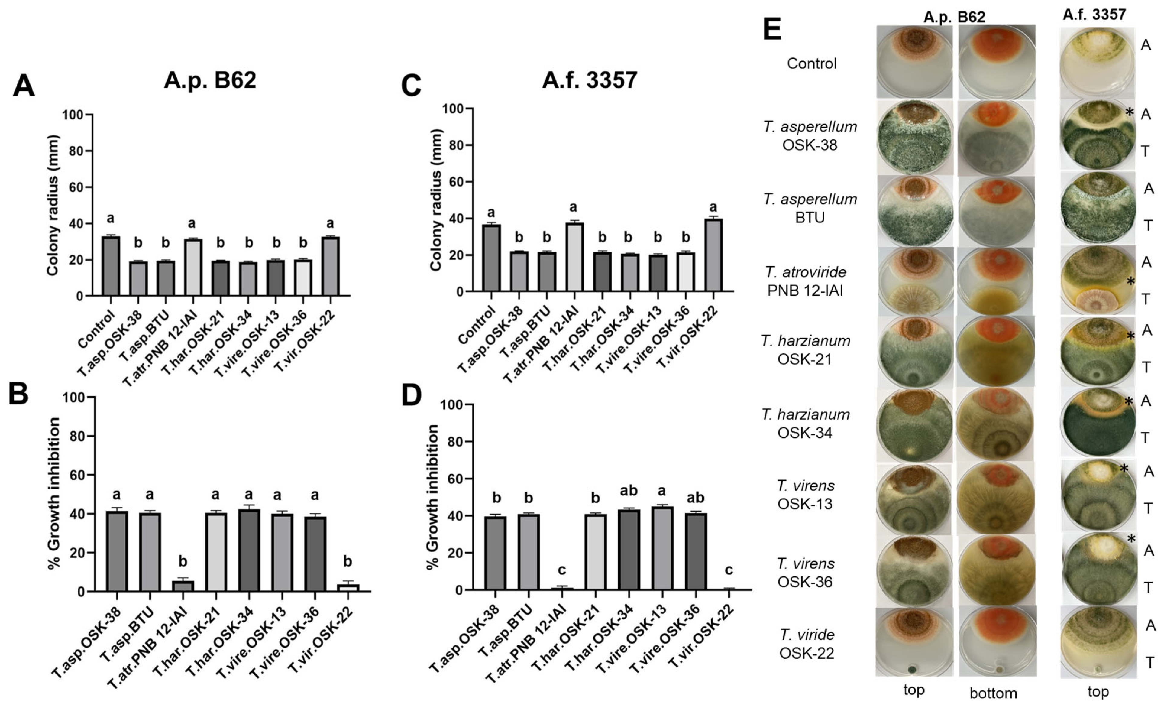 Toxins 16 00314 g002 Toxins 16 00314 g002