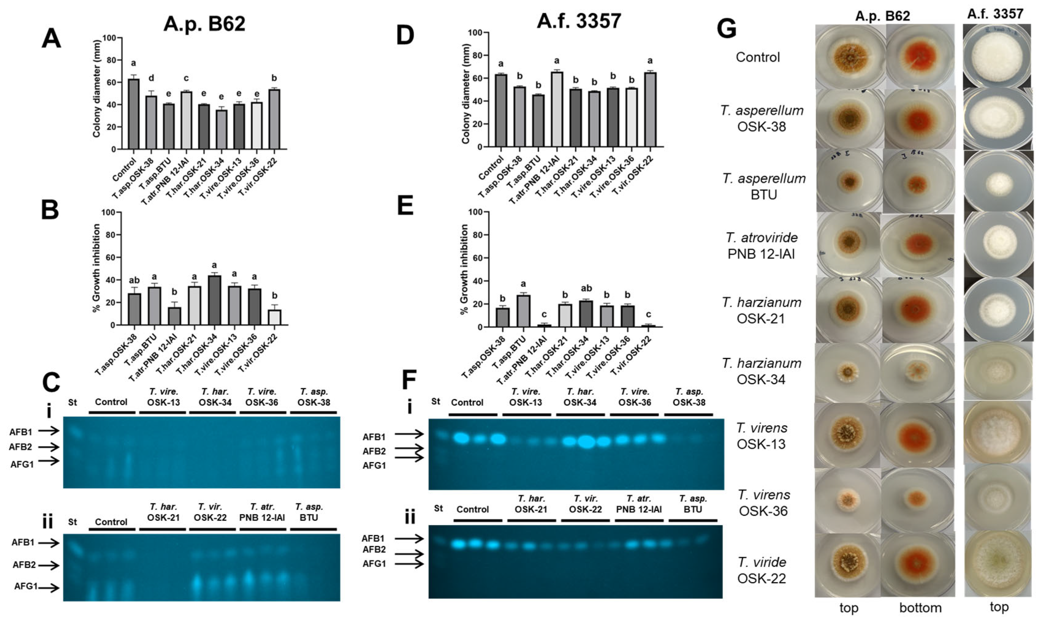 Toxins 16 00314 g003 Toxins 16 00314 g003