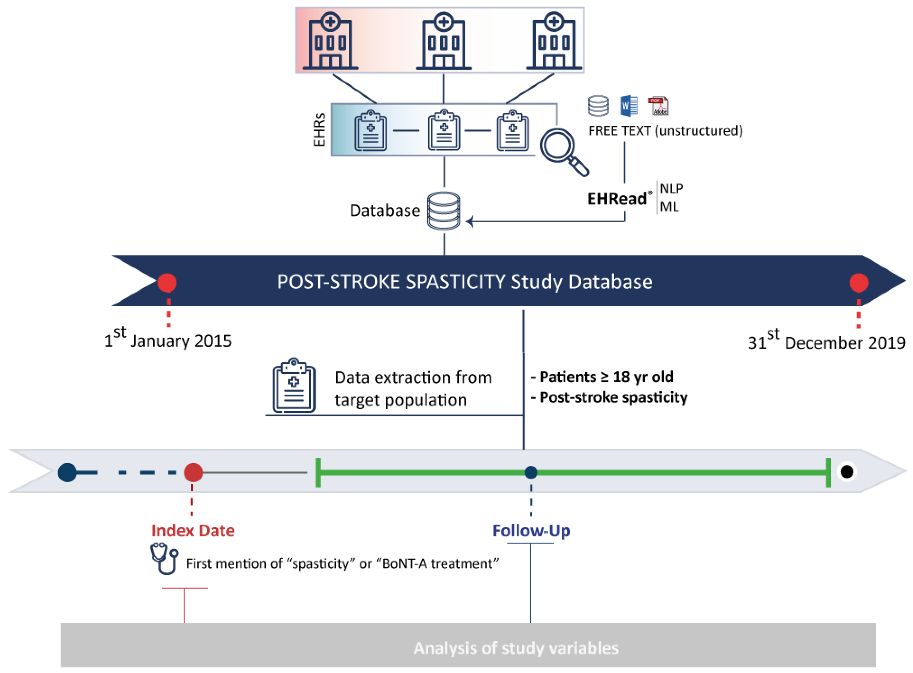Toxins 16 00340 g004