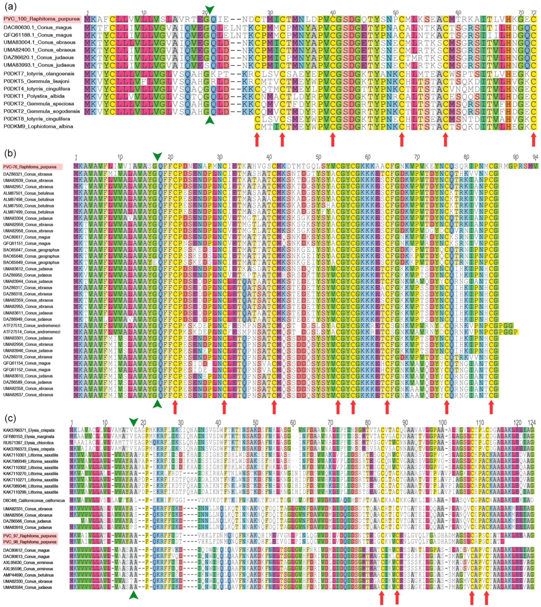 Toxins 16 00348 g004