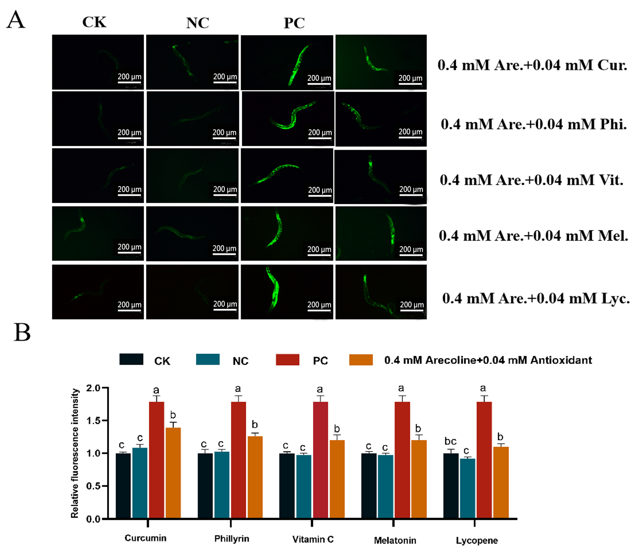 Toxins 16 00352 g006