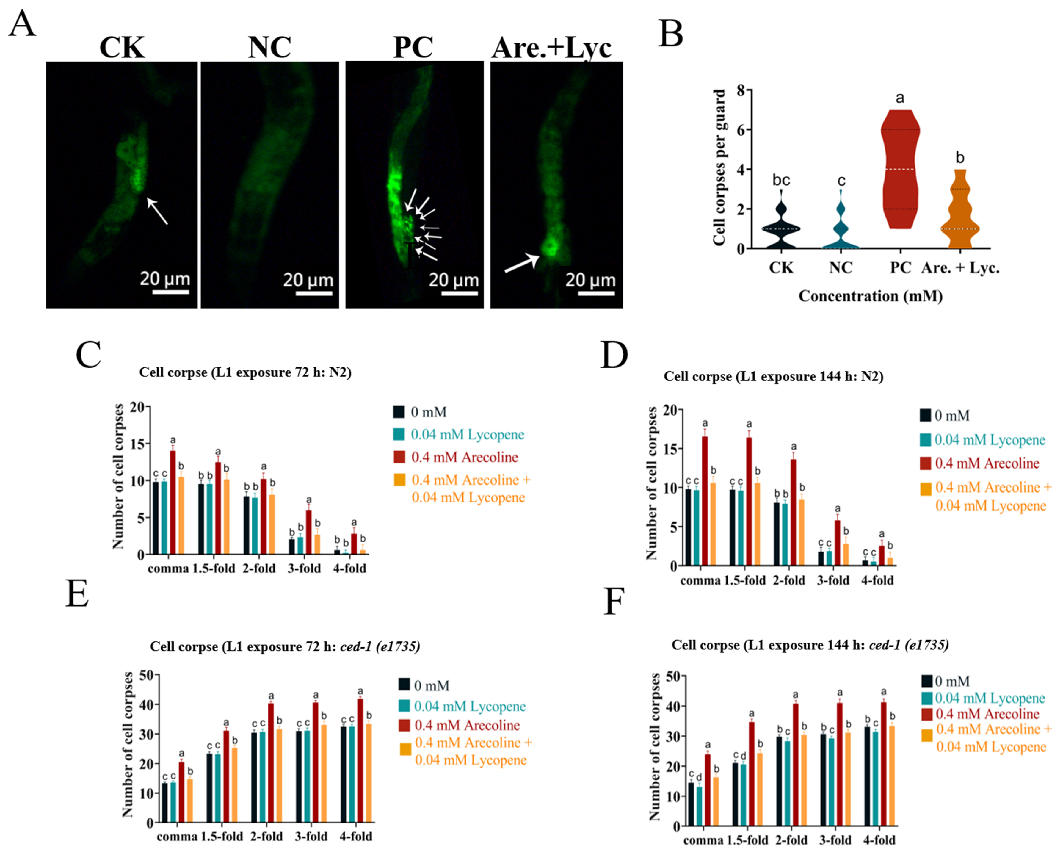 Toxins 16 00352 g008