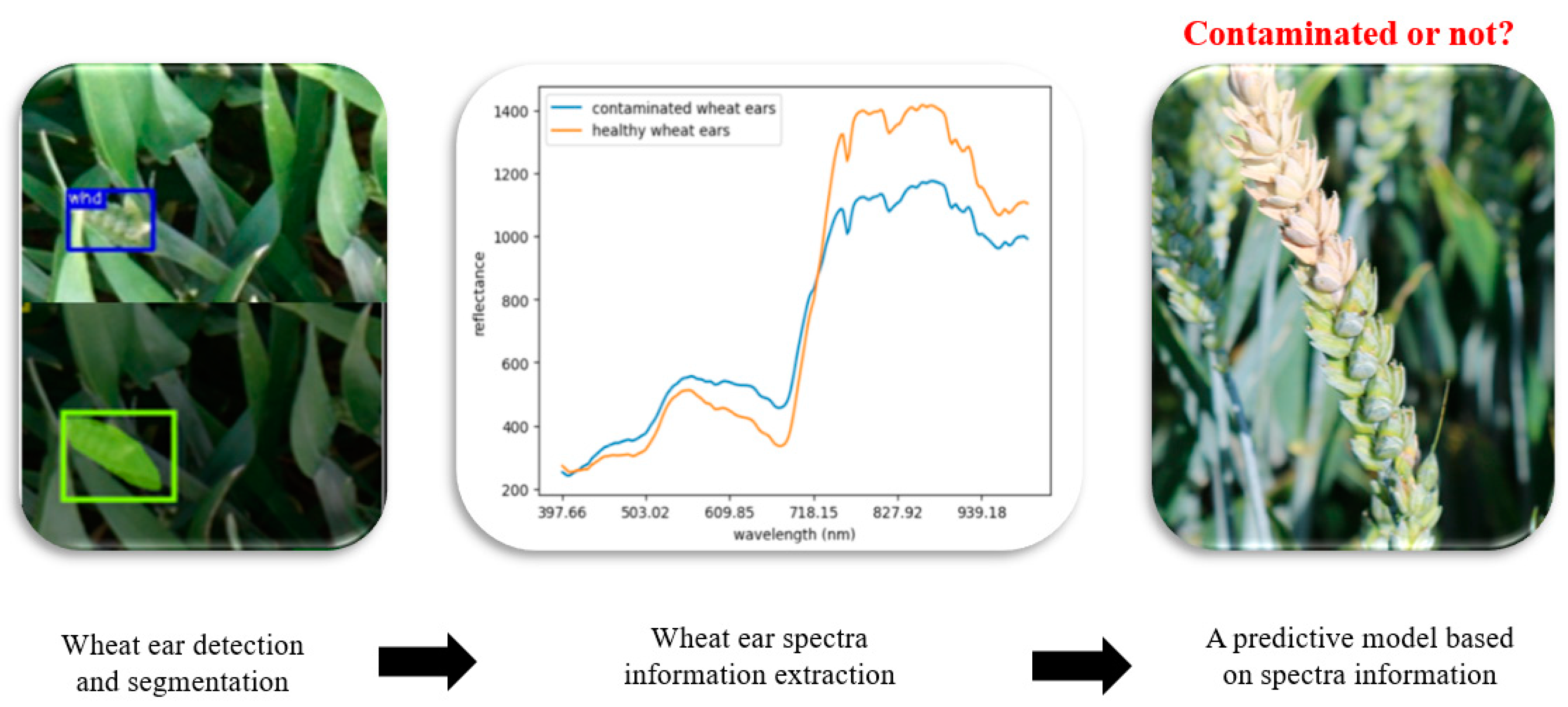 Toxins 16 00354 g006