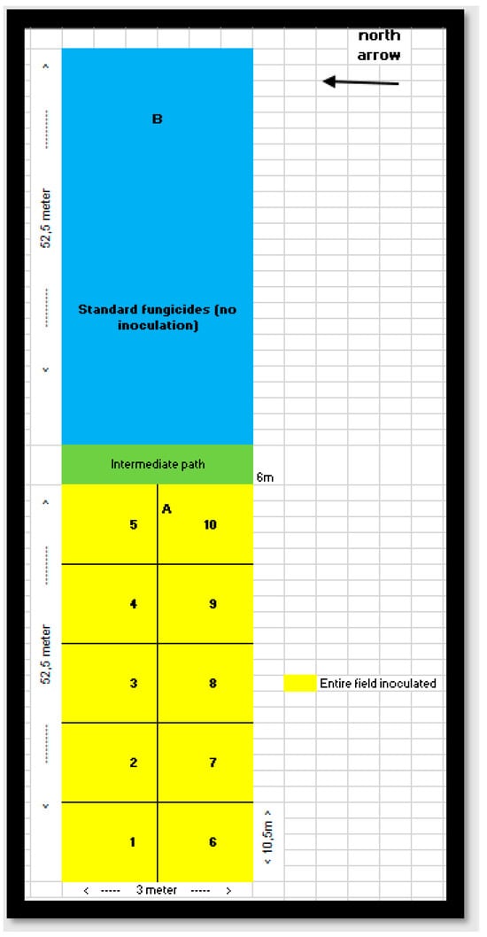 Toxins 16 00354 g0a1