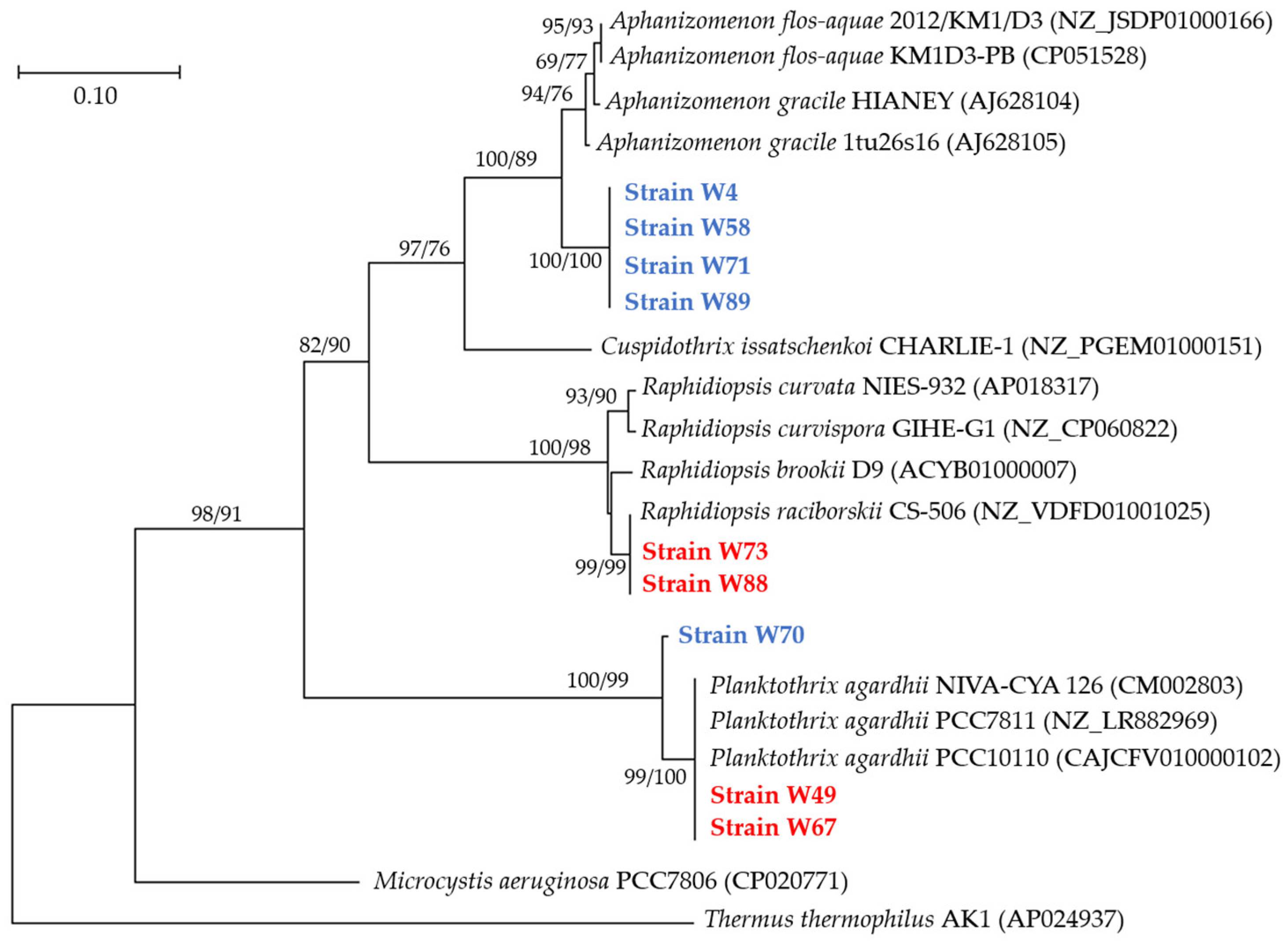 Toxins 16 00357 g004
