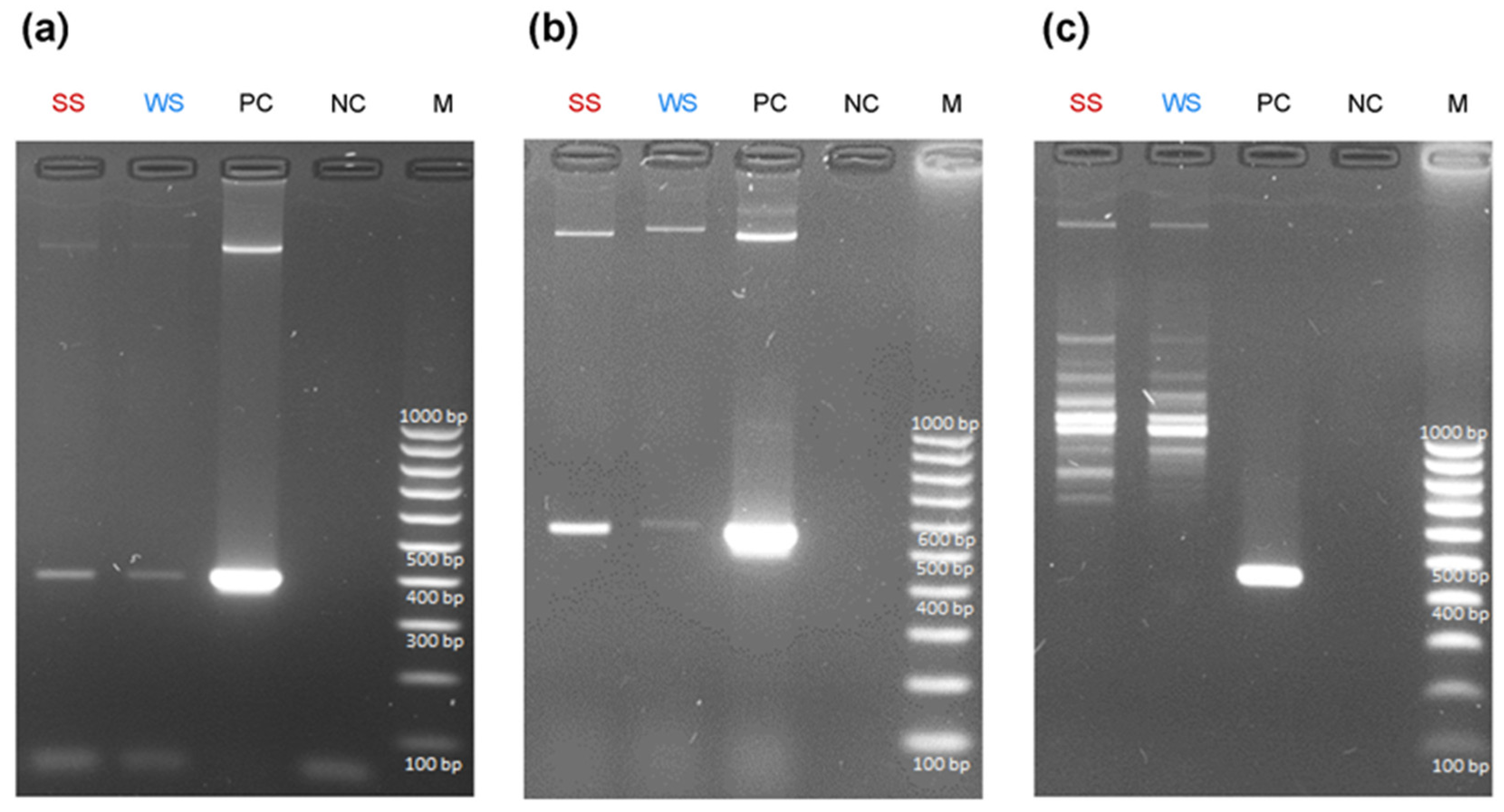 Toxins 16 00357 g005