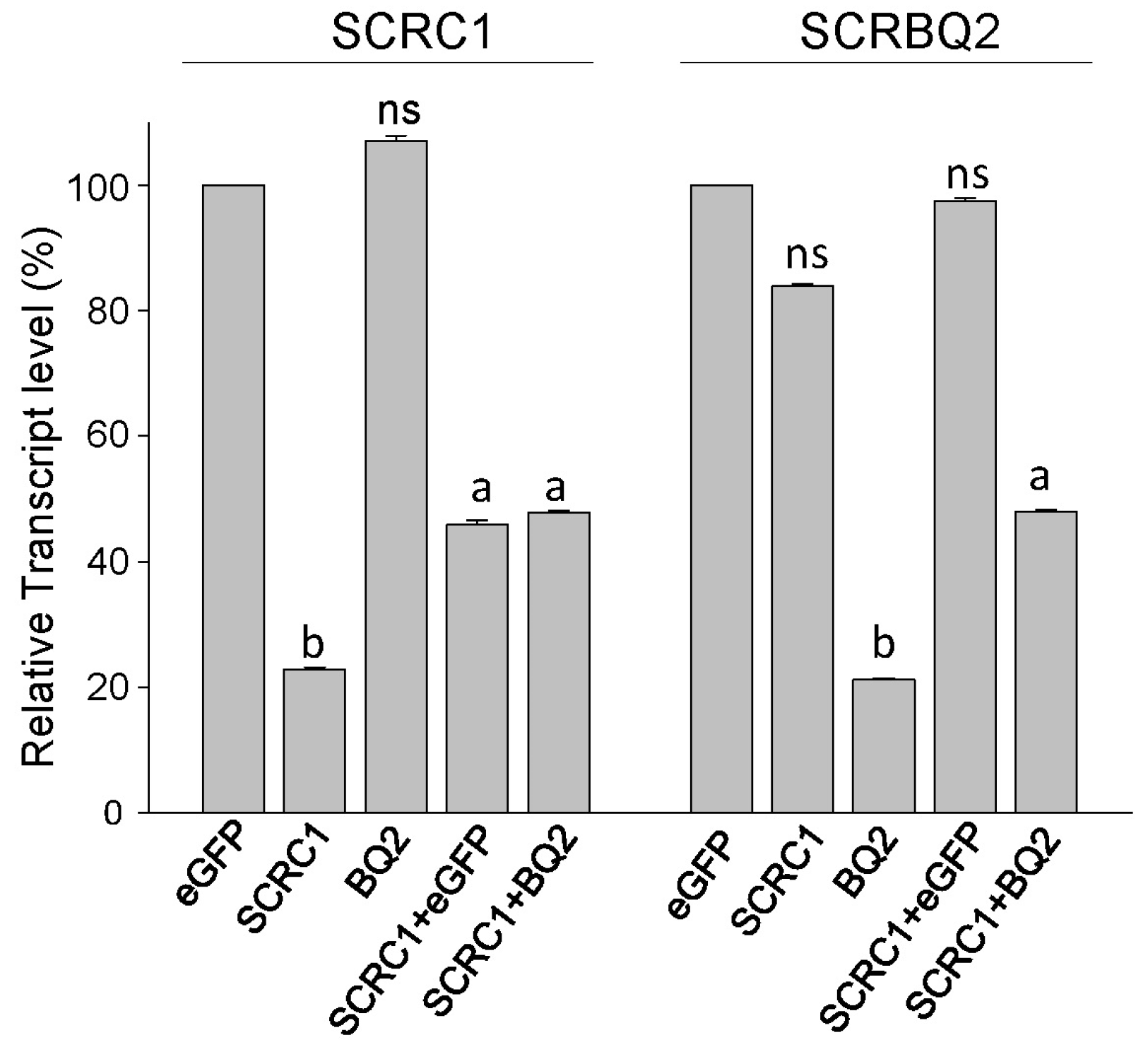 Toxins 16 00369 g001