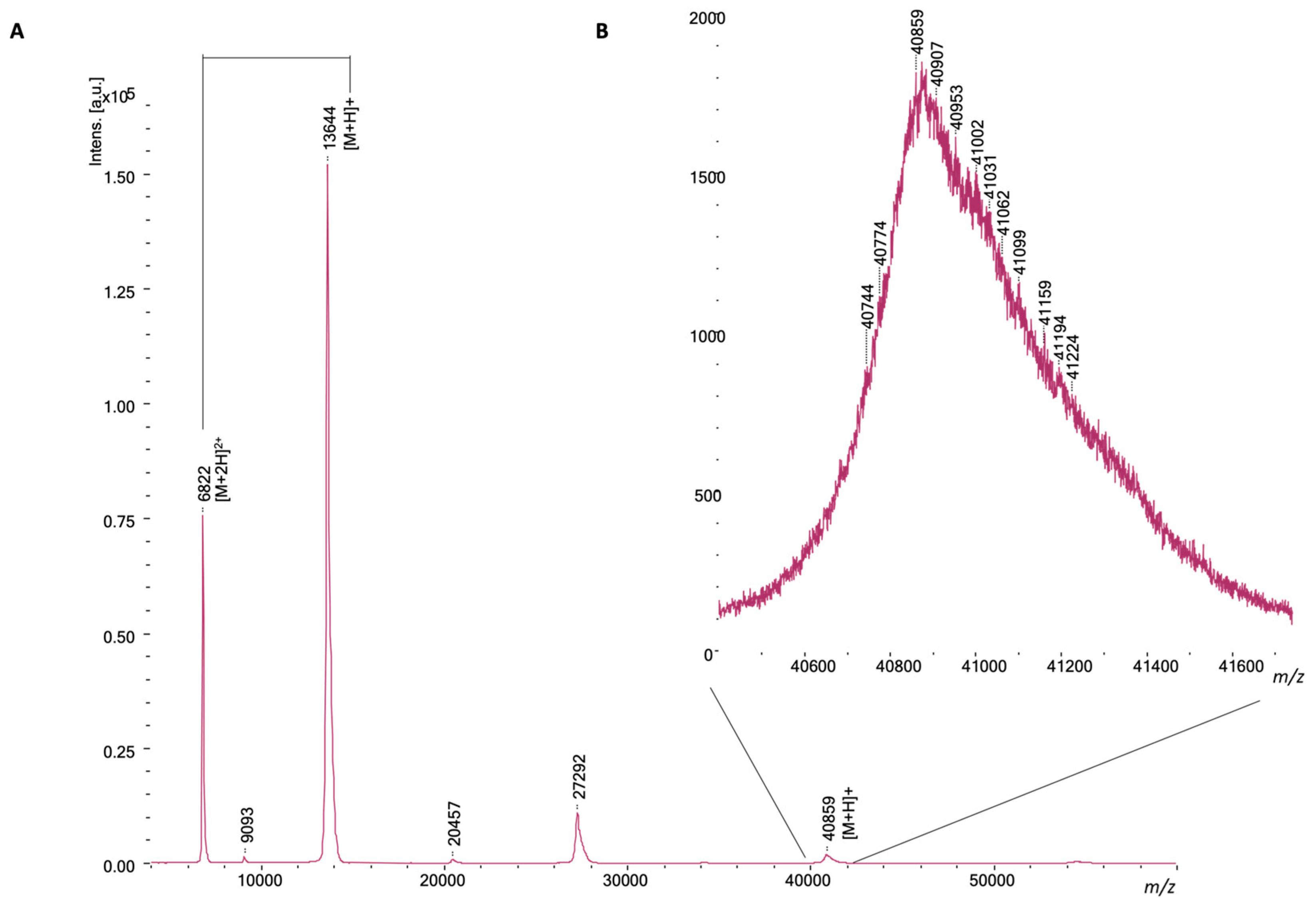 Toxins 16 00370 g001
