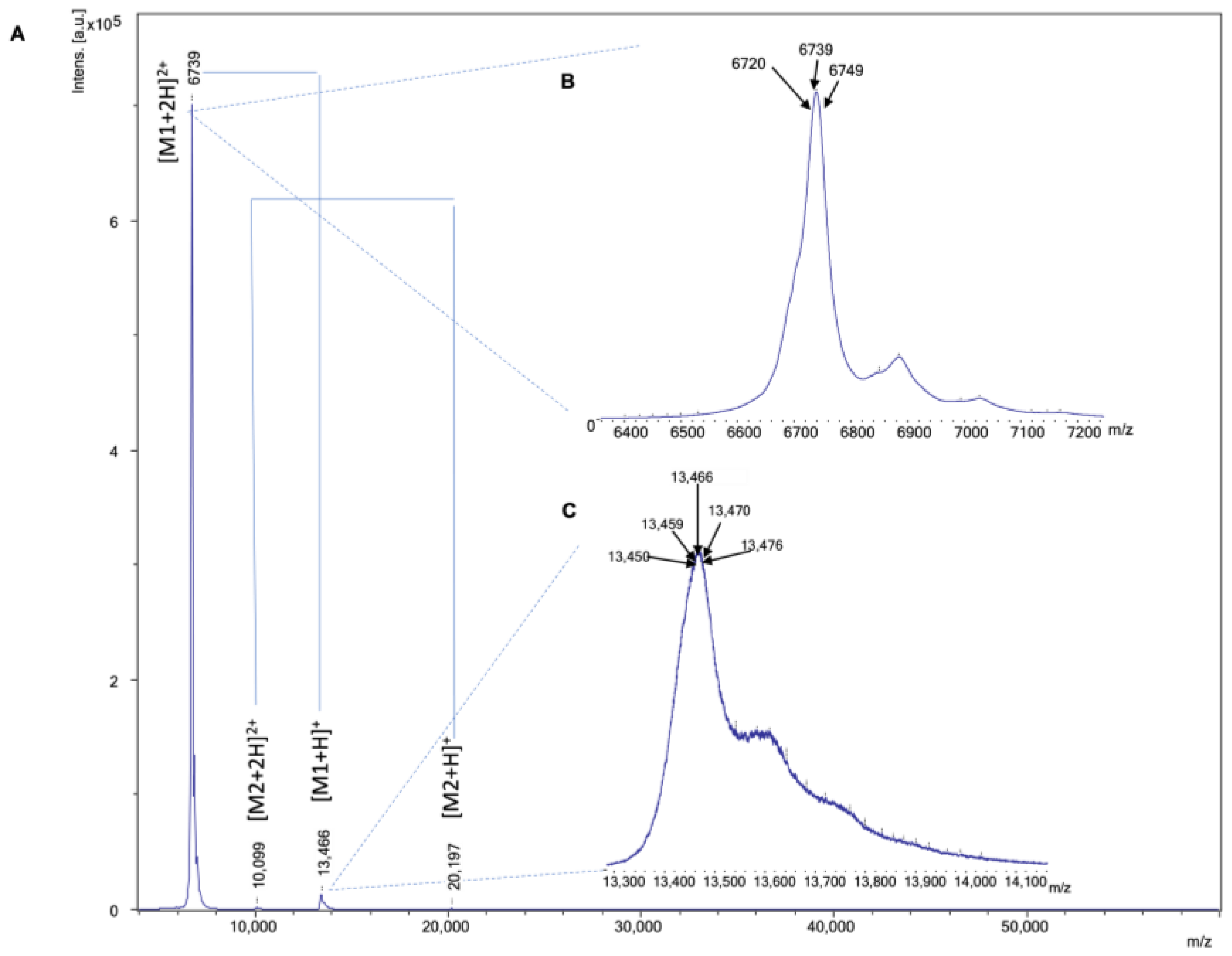 Toxins 16 00379 g001