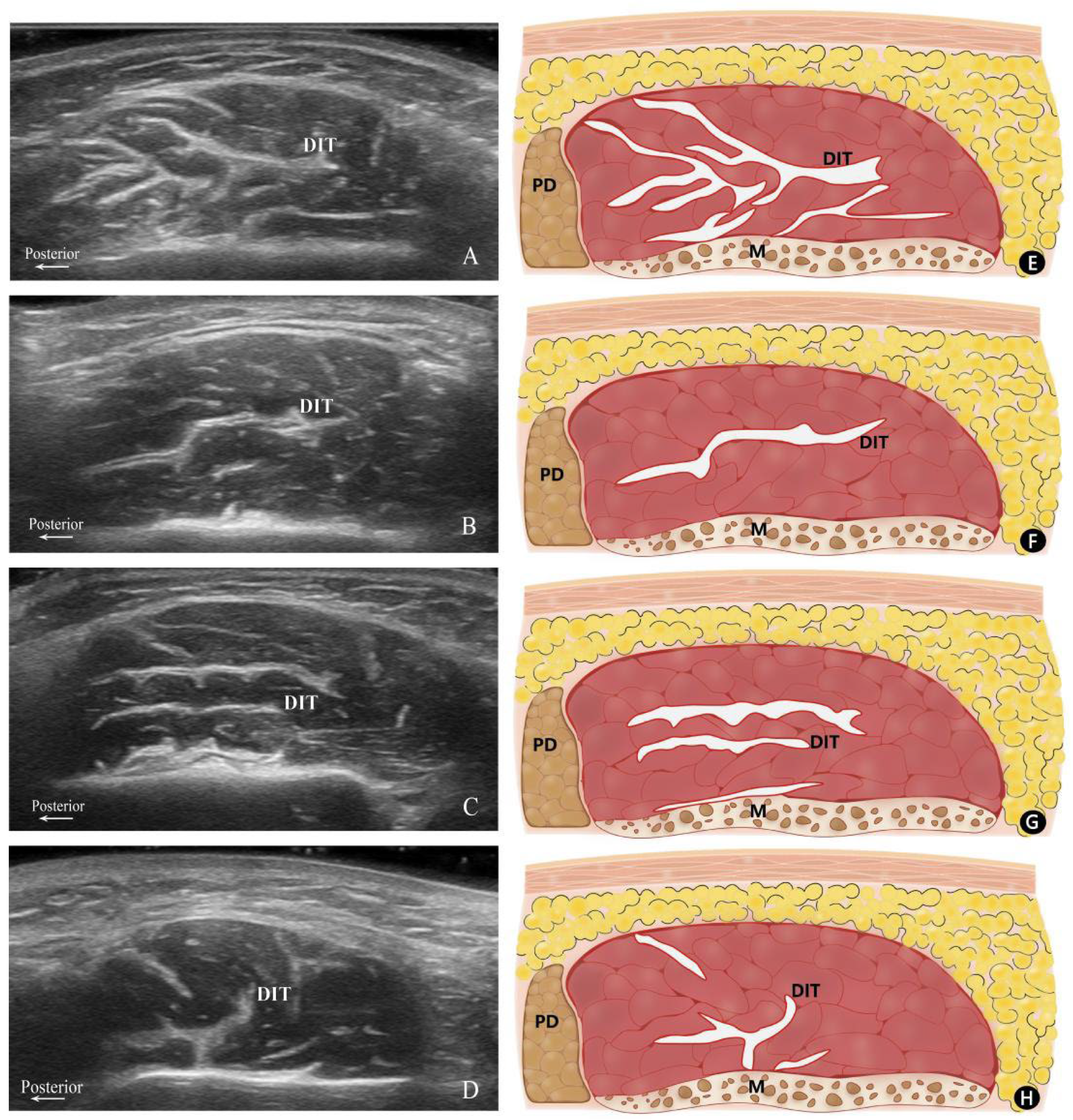 Toxins 16 00391 g001
