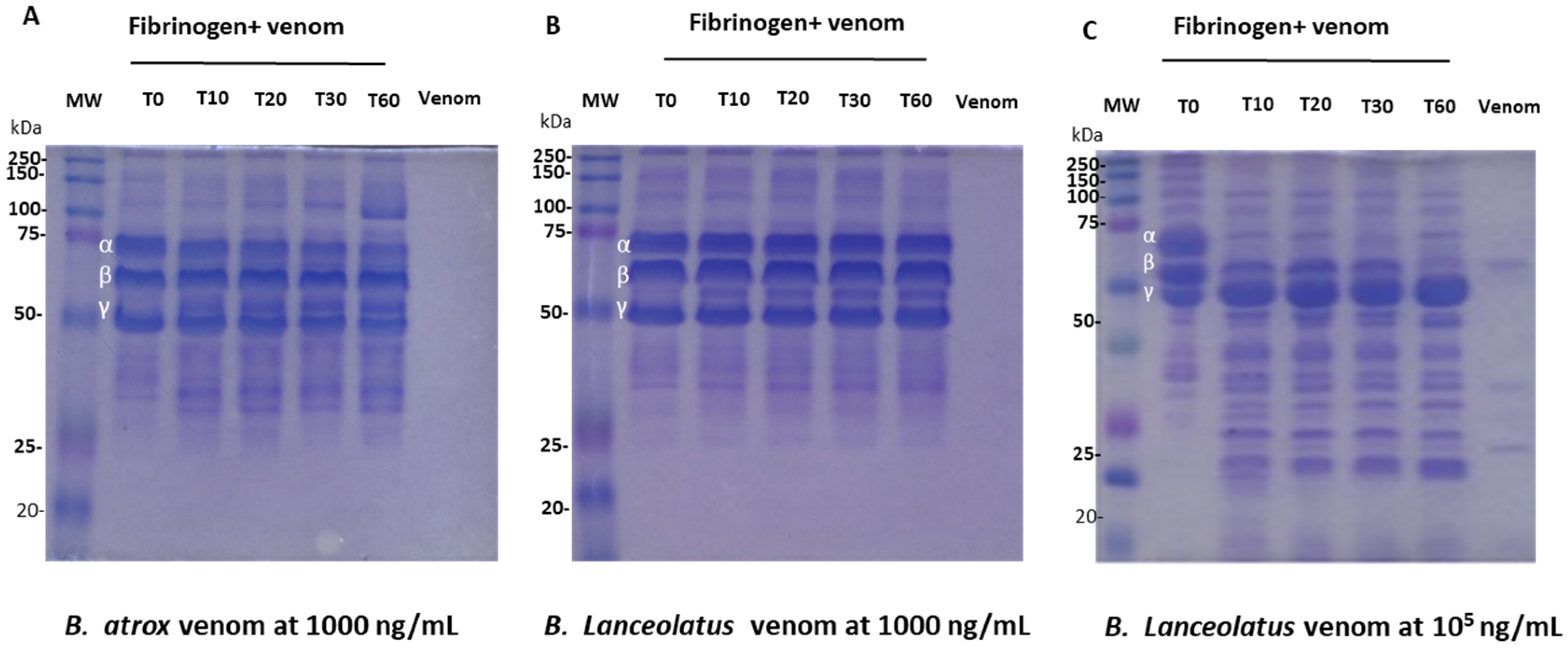 Toxins 16 00400 g002