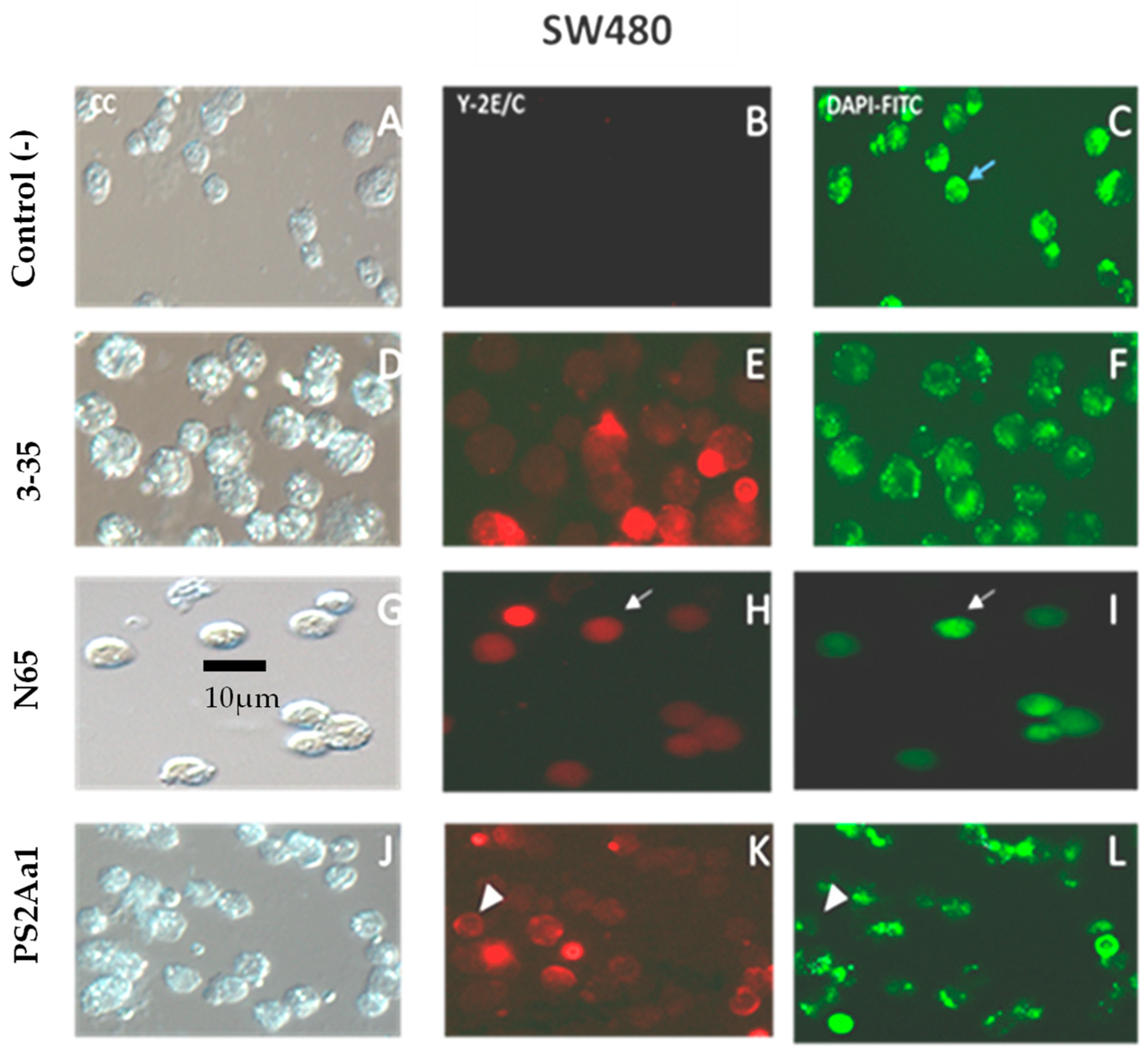 Toxins 16 00415 g003