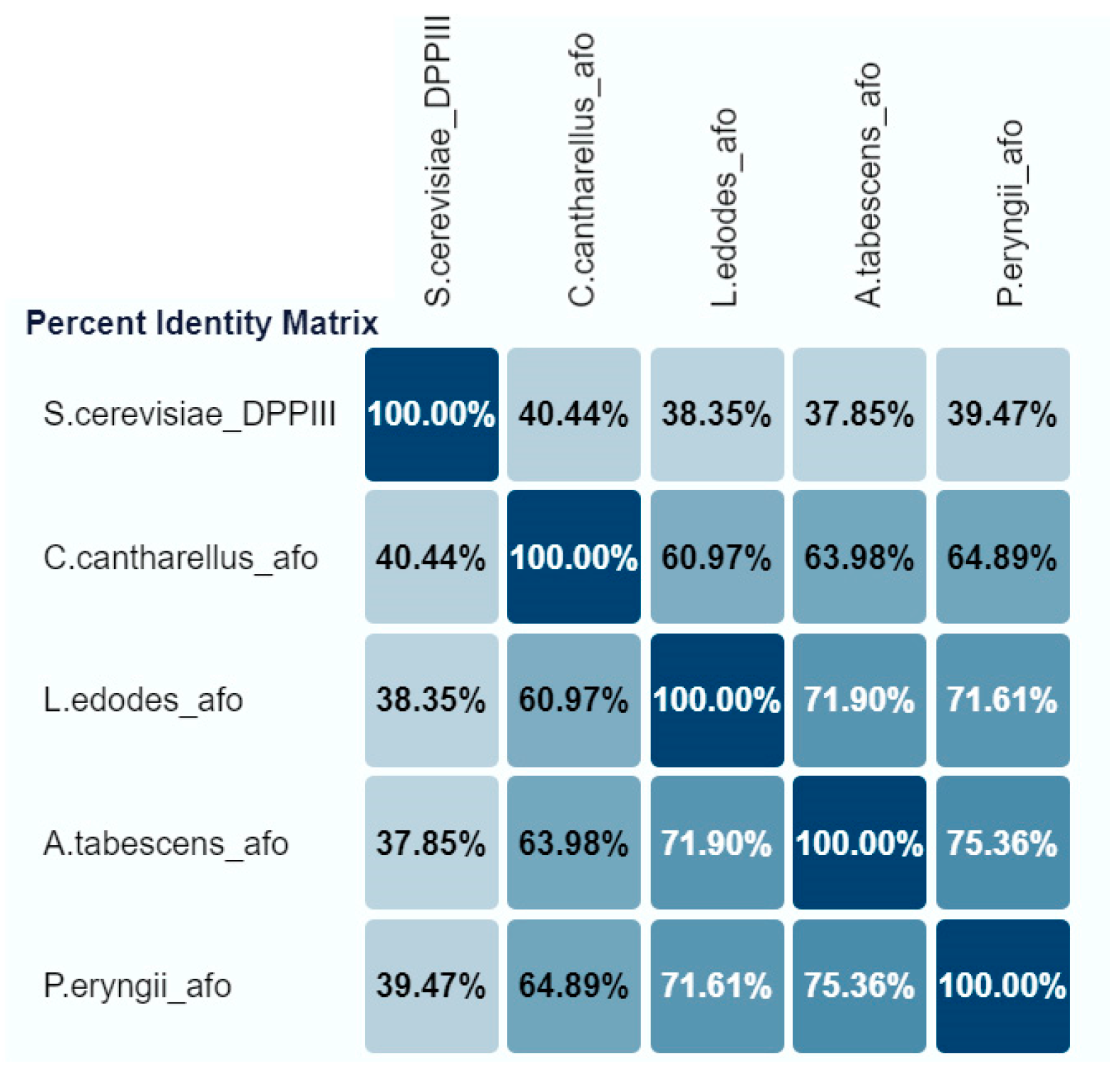 Toxins 16 00419 g001