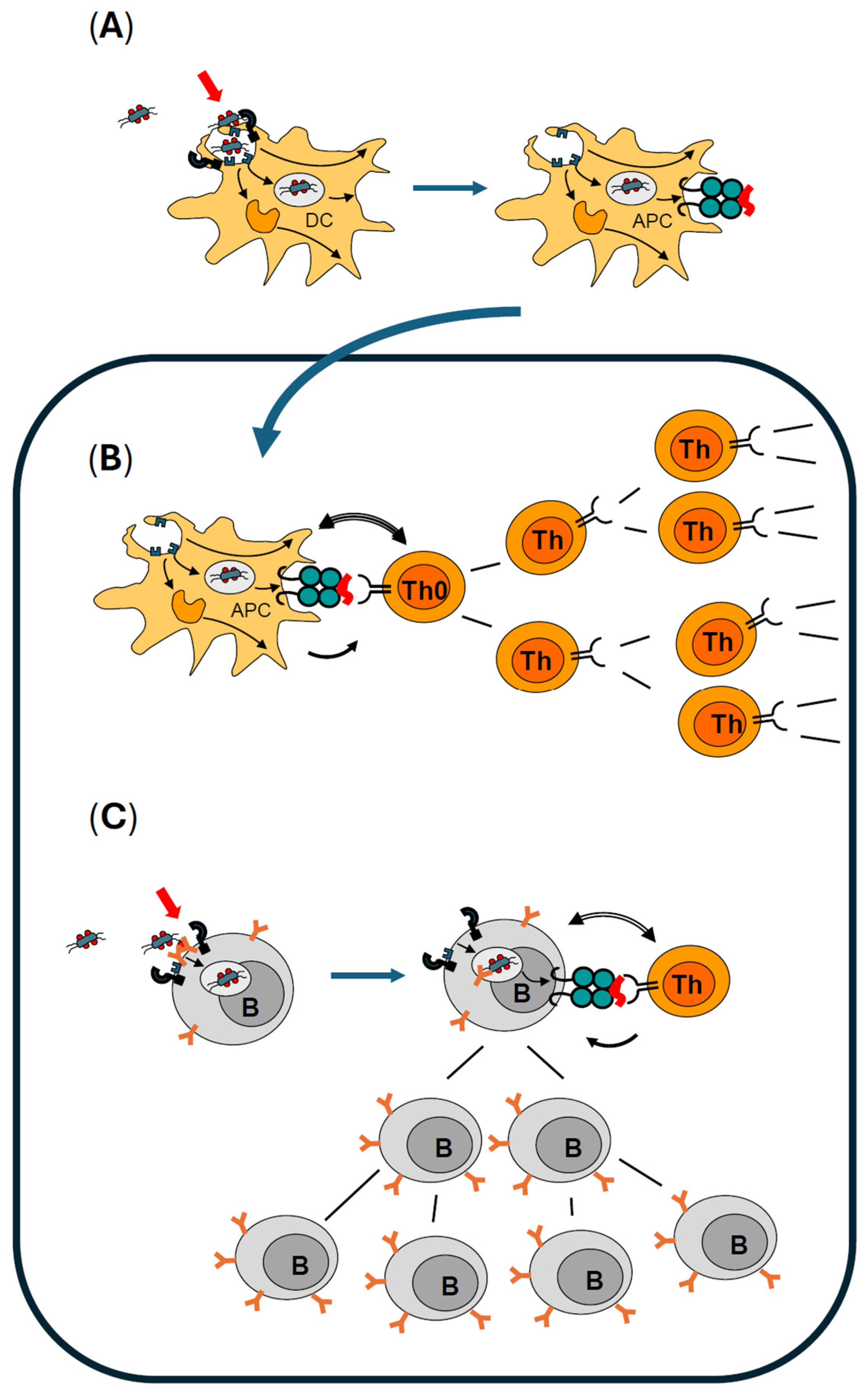 Toxins 16 00422 g001 Toxins 16 00422 g001