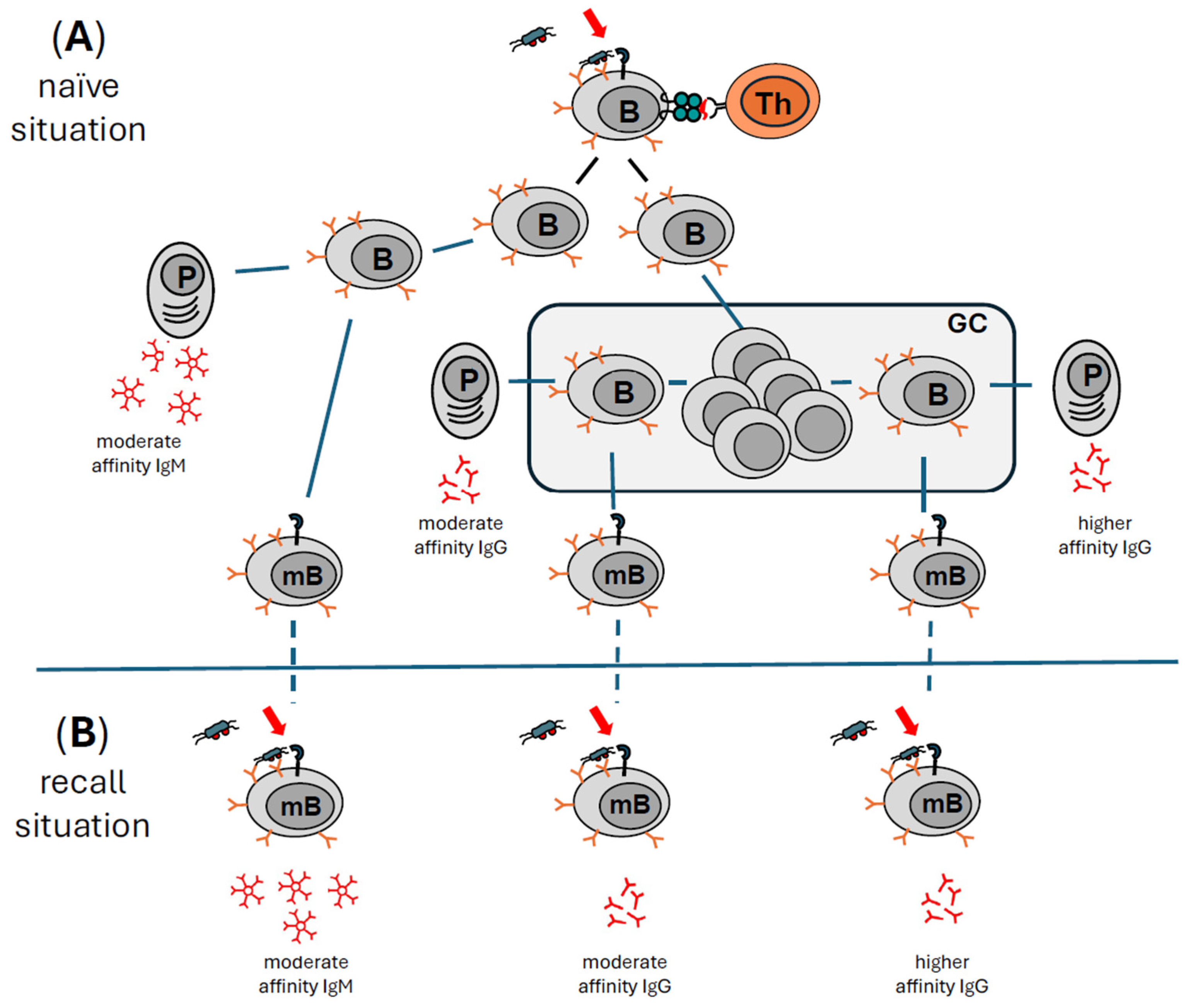 Toxins 16 00422 g002 Toxins 16 00422 g002